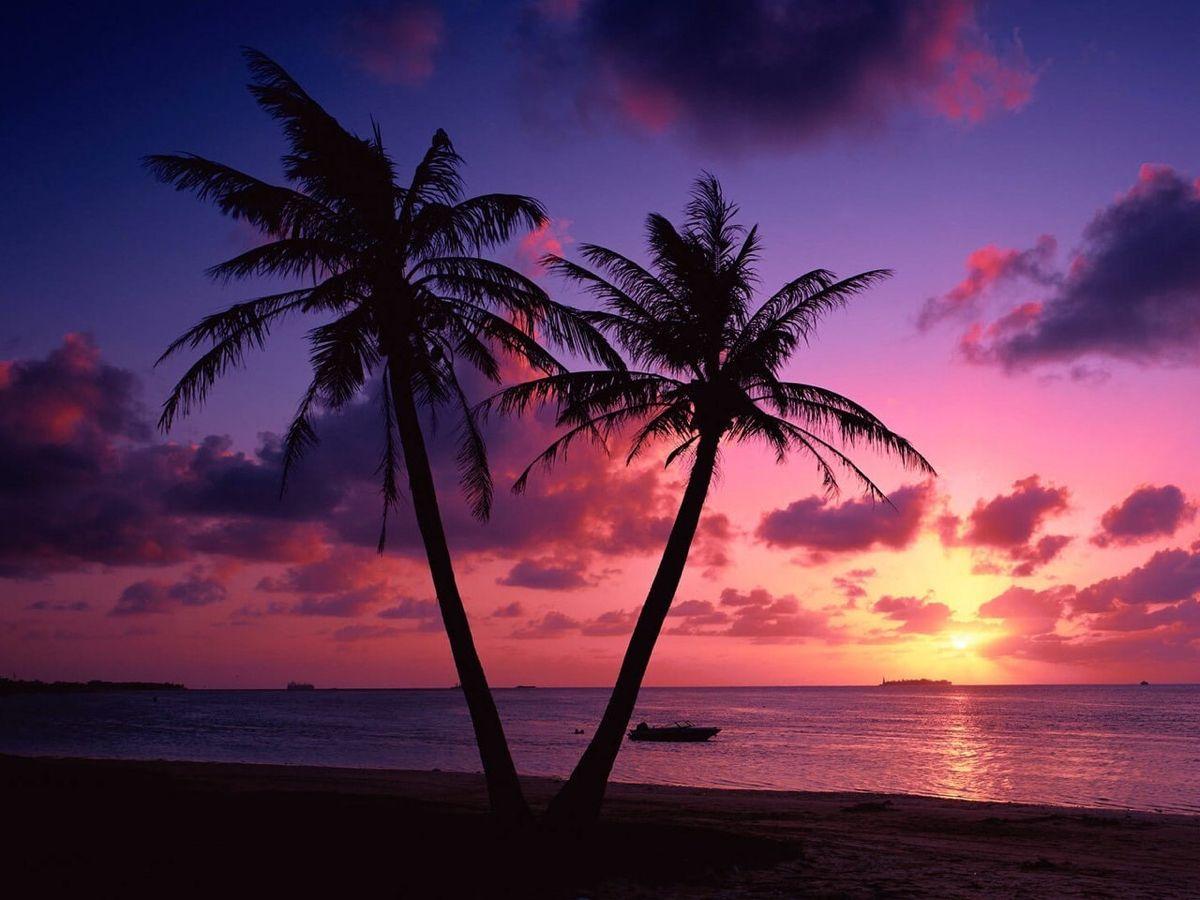 1200x900 Море. Tree sunset wallpaper, Beach sunset wallpaper, Sunset landscape