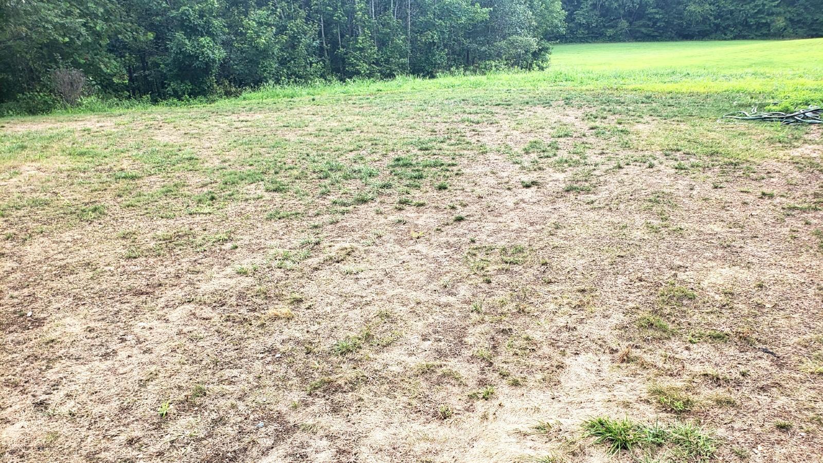 1600x900 Poor Seed Germination. University of Maryland Extension