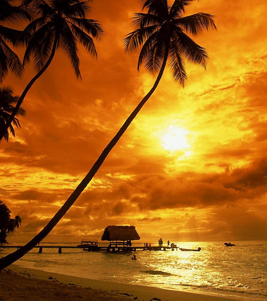 854x960 Tropical sunset wallpaper
