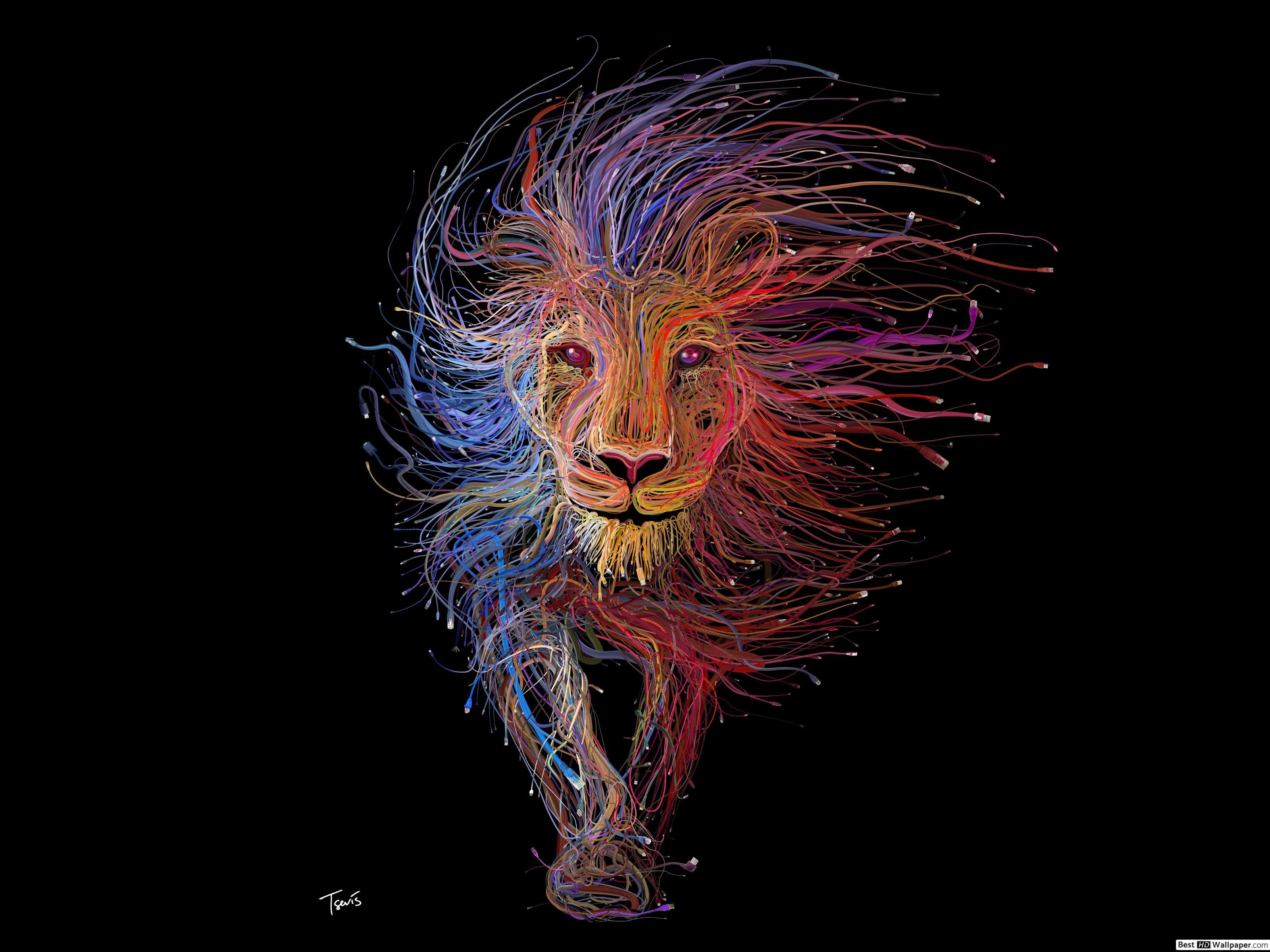 3200x2400 Colorful Lion HD wallpaper download