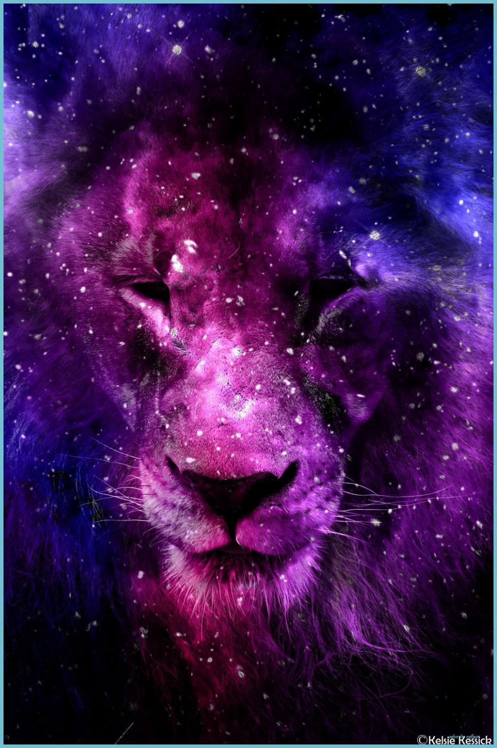 993x1492 Galaxy Lion Wallpaper Free Galaxy Lion Background Lion Wallpaper