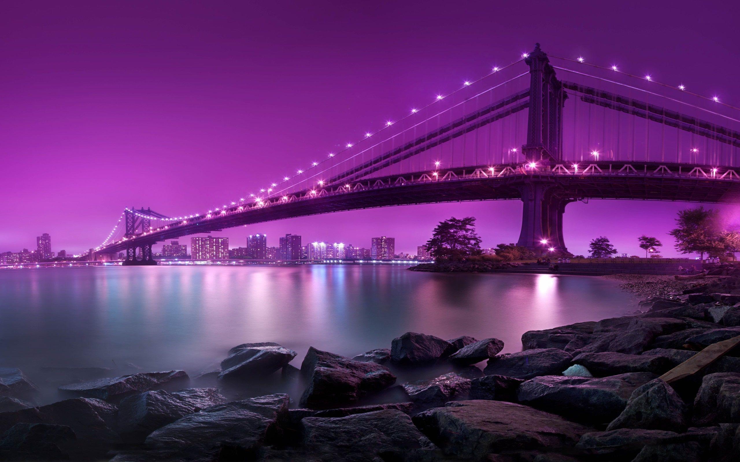 2560x1600 Purple HD Wallpaper
