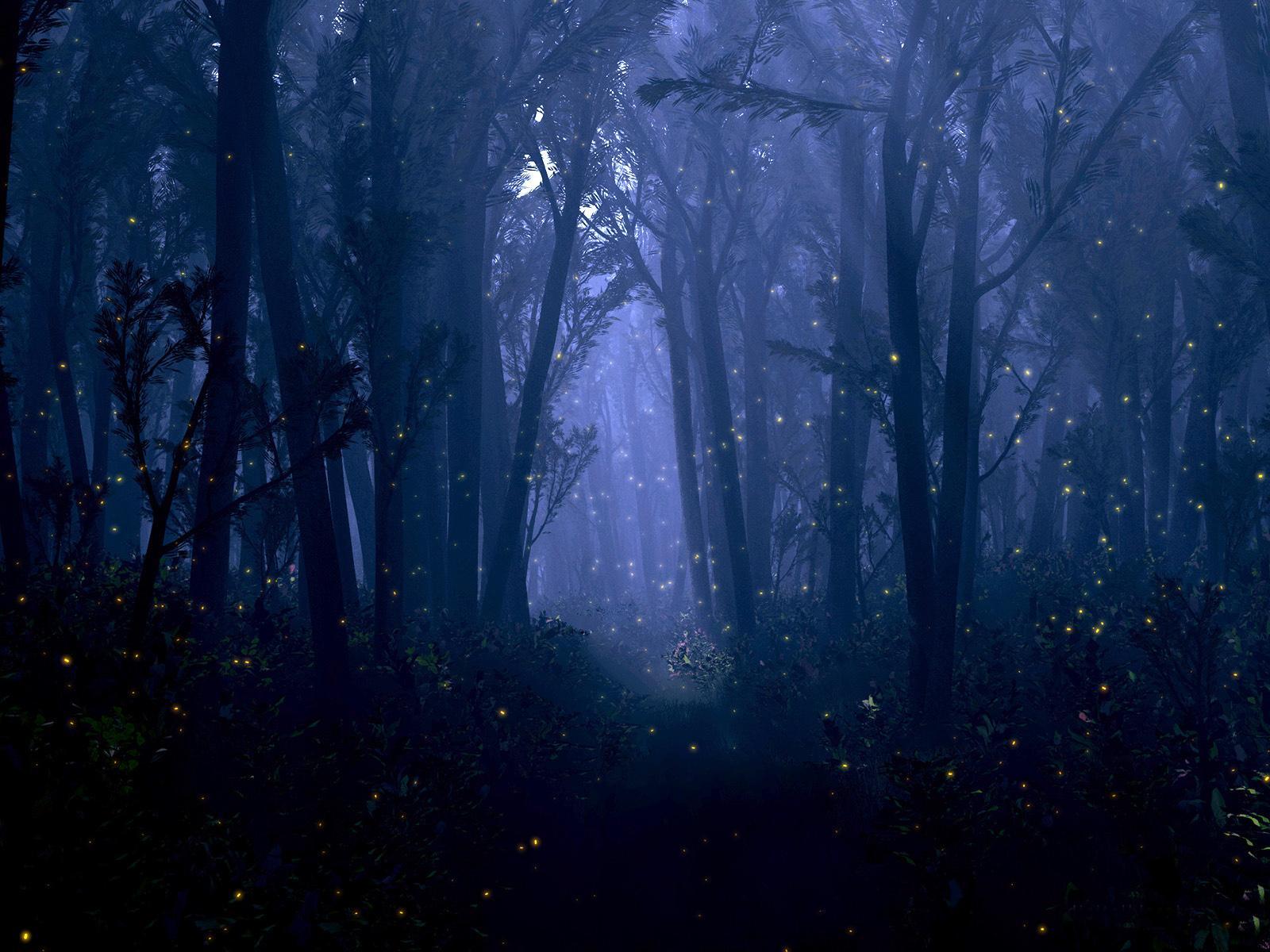 1600x1200 Free download fantasy forest night bokeh trees firefly insect dream mood wallpaper [1600x1200] for your Desktop, Mobile & Tablet. Explore Fantasy Forest Wallpaper HD. Fantasy Picture Wallpaper, Fantasy Wallpaper