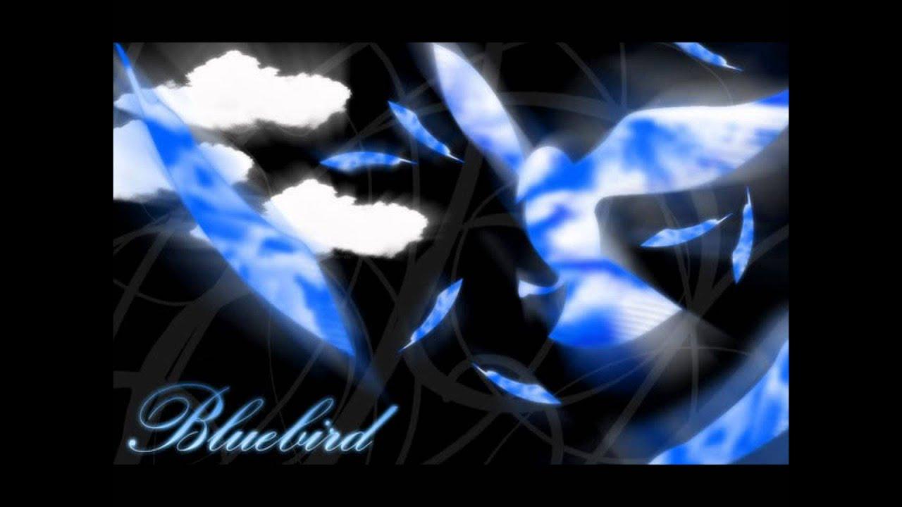 Blue Bird Naruto Wallpapers Top Free Blue Bird Naruto Backgrounds WallpaperAccess