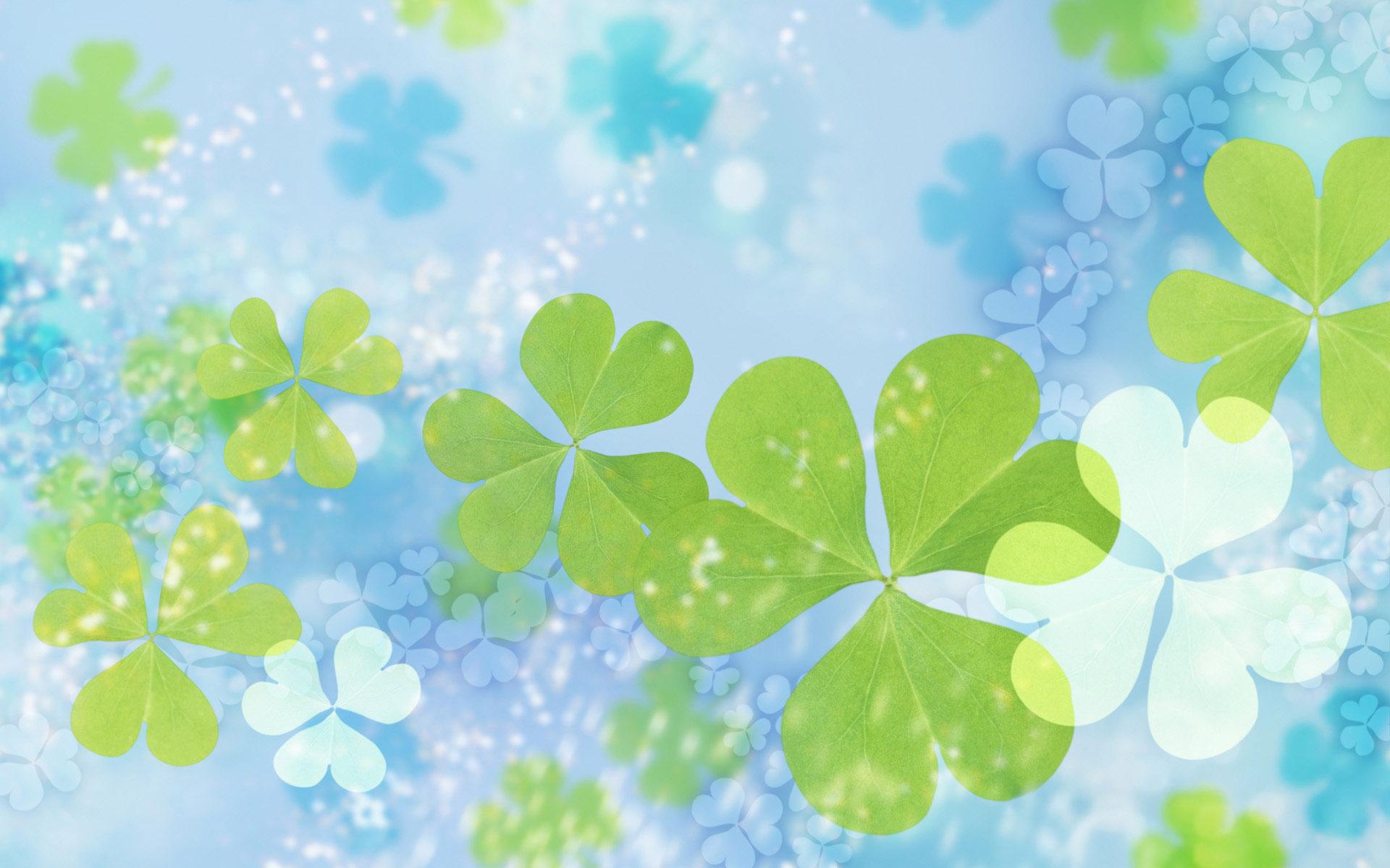 Blue and Green Floral Desktop Wallpapers Top Free Blue and Green