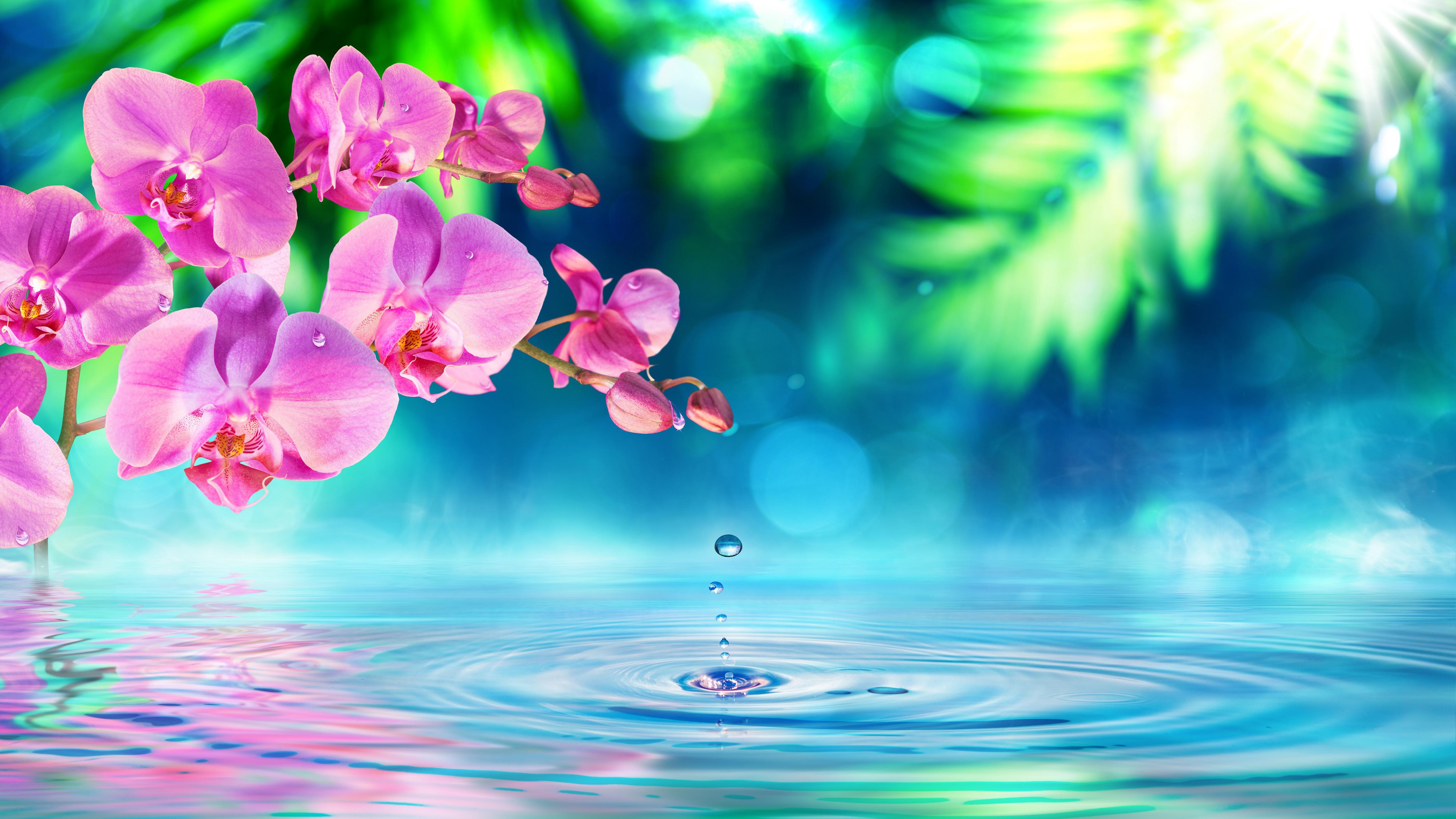 5200x2925 Purple And Green Desktop Wallpaper