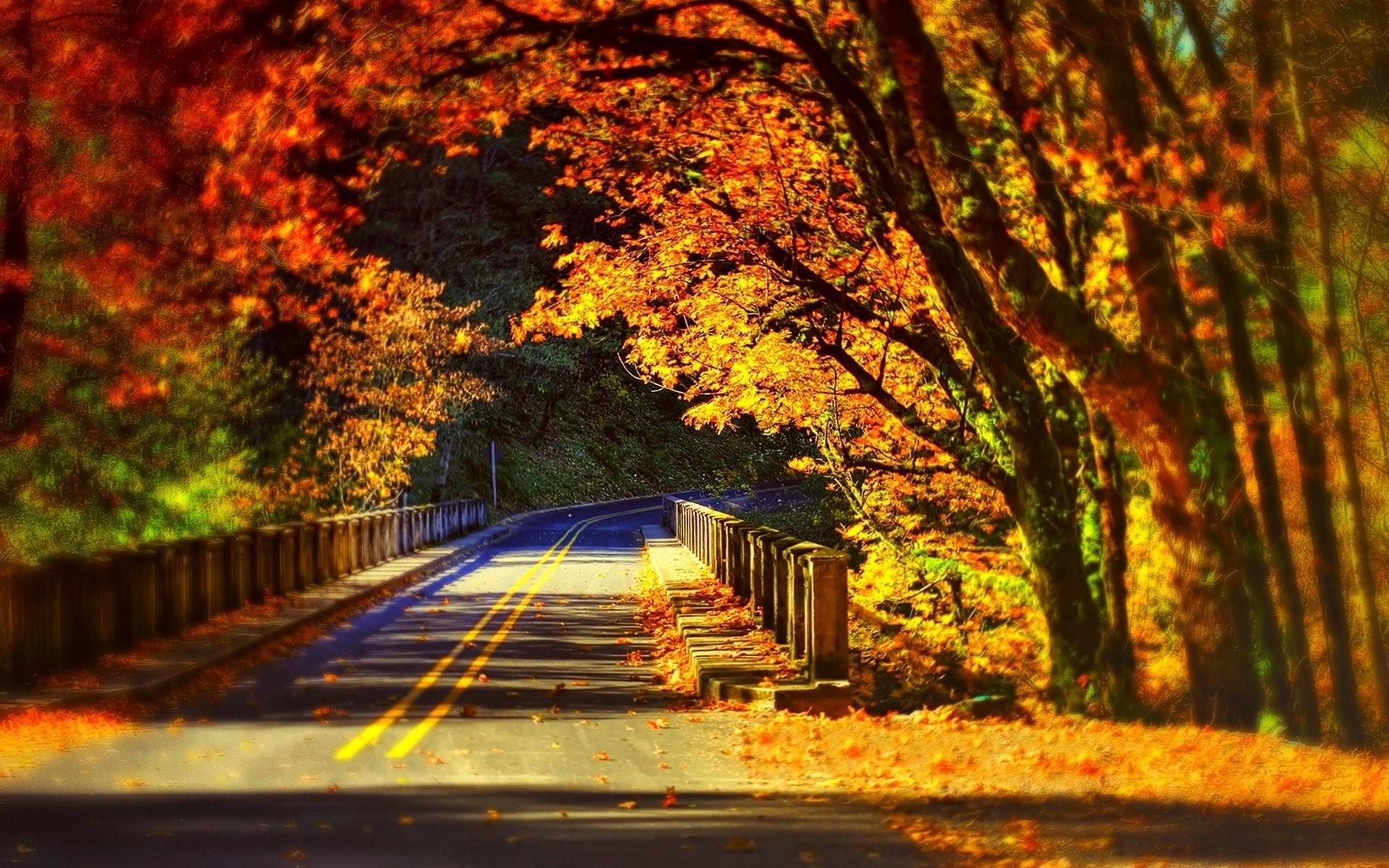 1920x1200 Abstract Fall Wallpaper (best Abstract Fall Wallpaper and image) on WallpaperChat