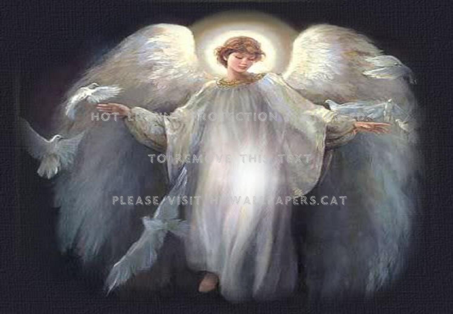 1491x1035 heavenly white angel peace dove abstract