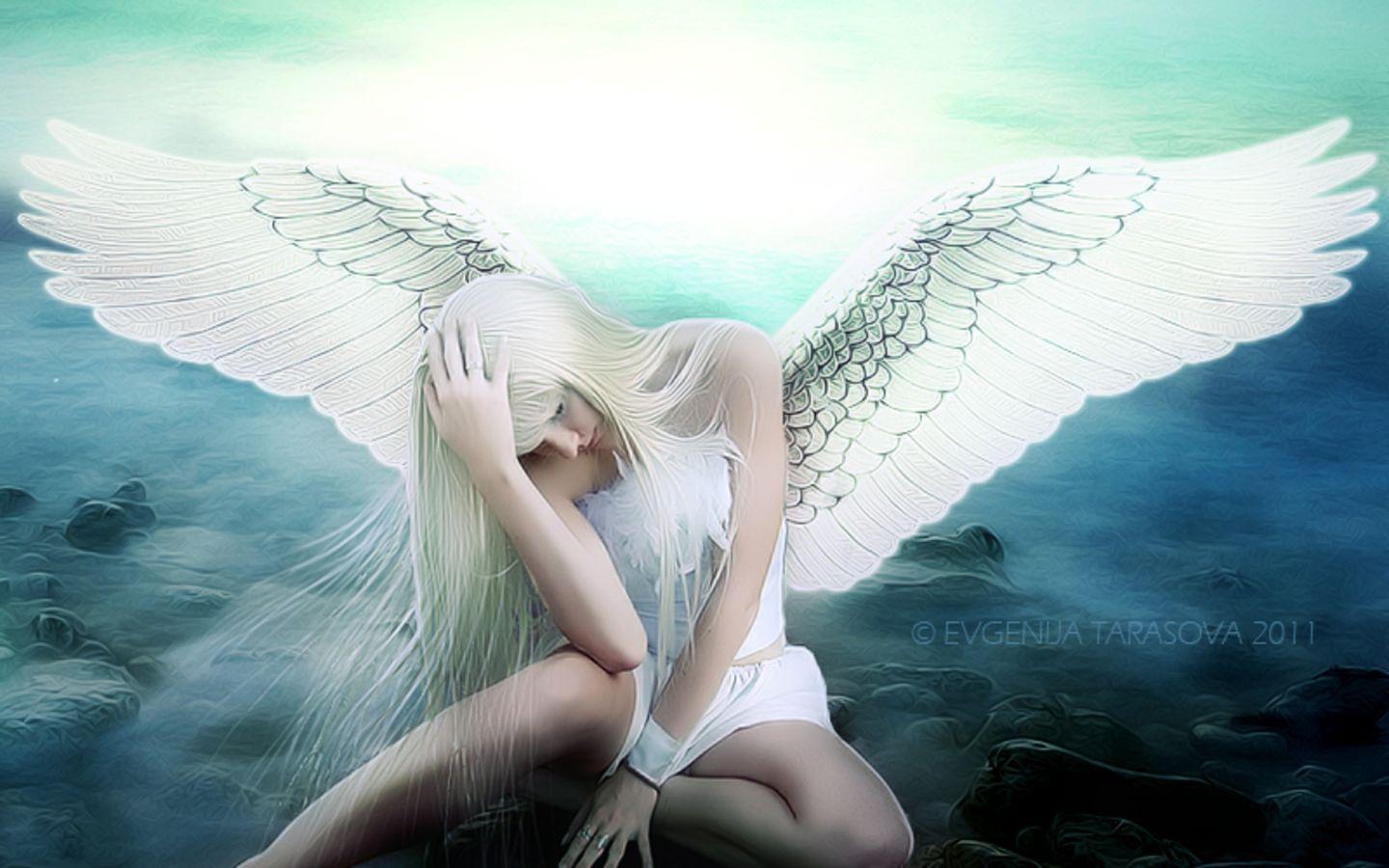 1440x900 Gallery for of heavenly angels