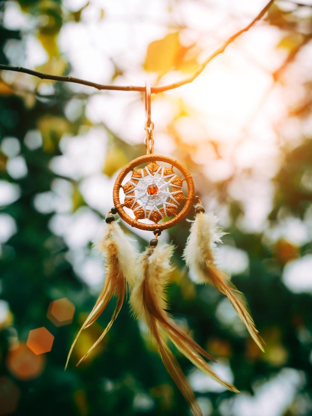 1000x1336 Dreamcatcher Picture [HD]. Download Free Image