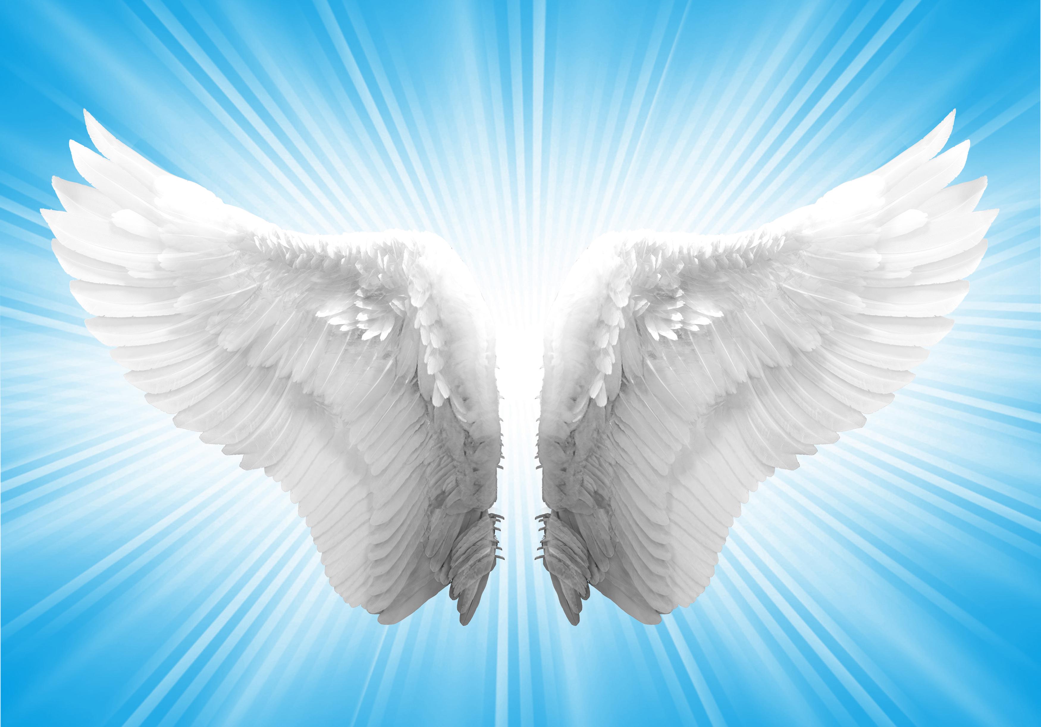 3500x2444 angel wings in heaven