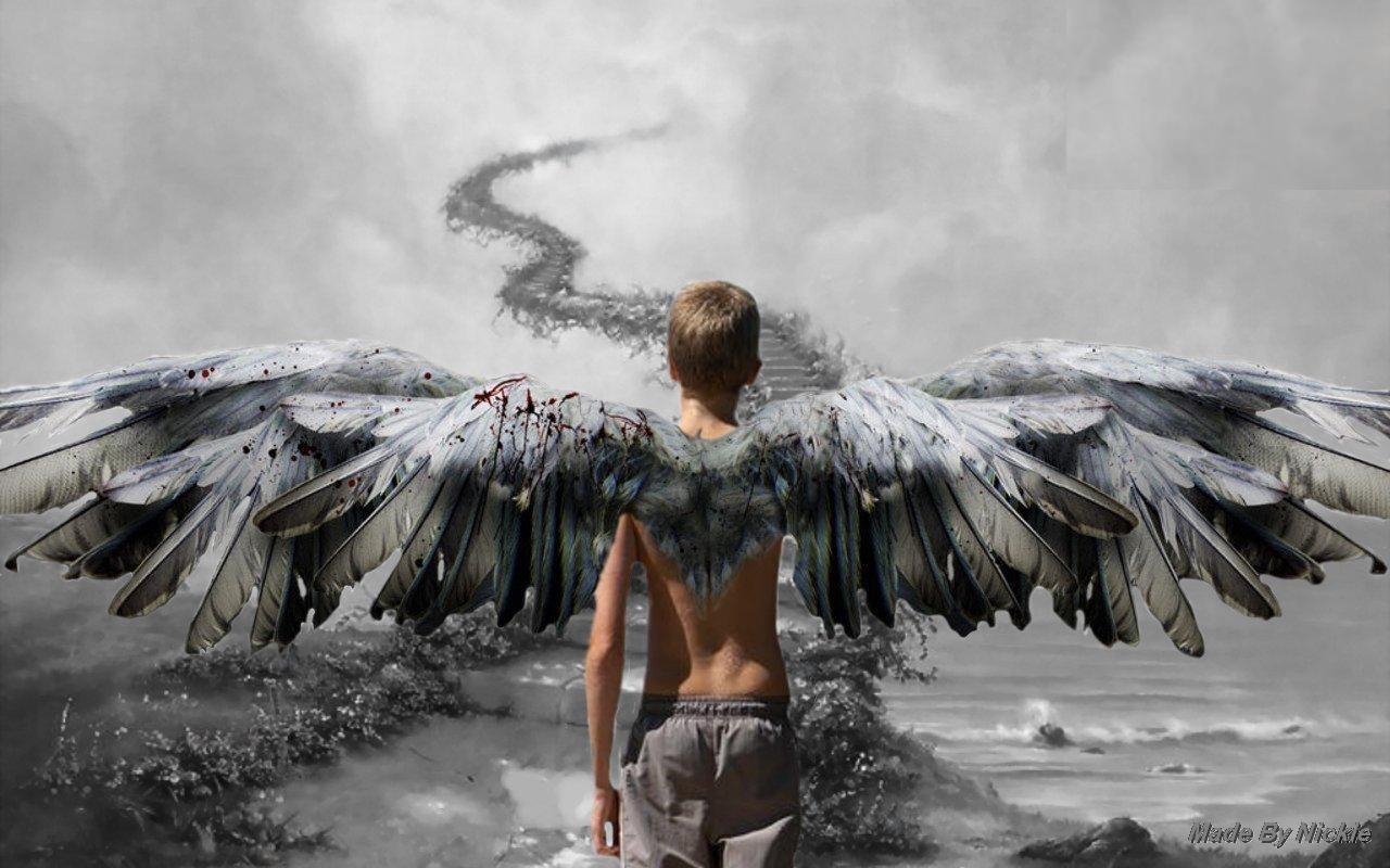1280x800 angel boy heavenly angel boy