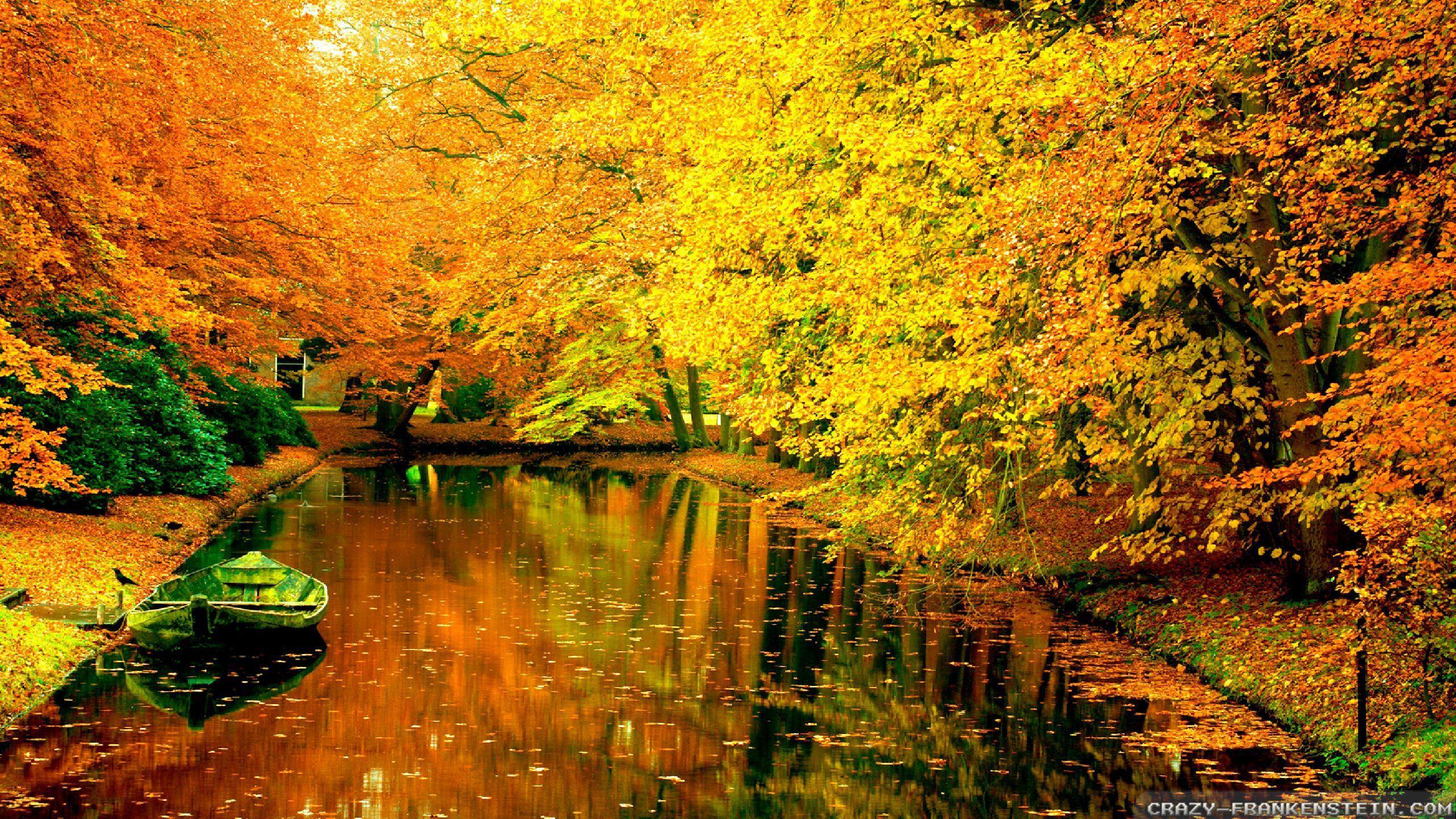 2560x1440 France Autumn Wallpaper