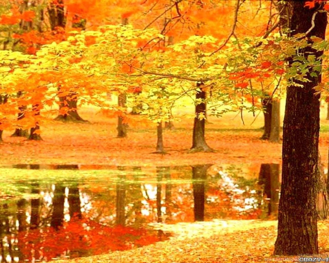 1280x1024 Autumn In France Wallpaper Seasonal Crazy Frankenstein Desktop Background