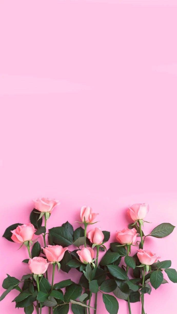 690x1227 Photo hala. Wallpaper and Wallpaper