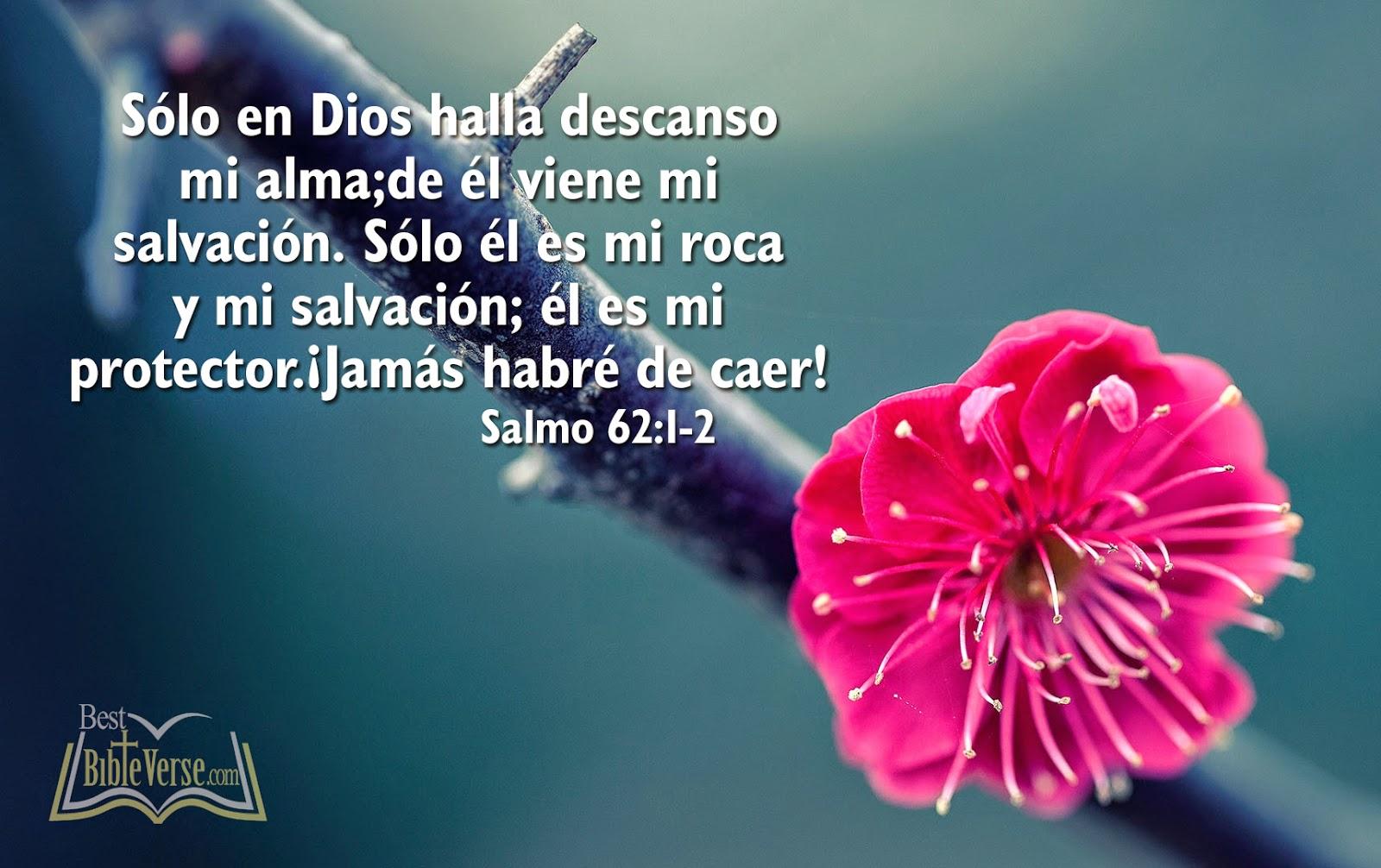 1600x1006 Free download best spanish bible verse wallpaper nice spanish bible image [1600x1006] for your Desktop, Mobile & Tablet. Explore Wallpaper in Spanish. Love Wallpaper in Spanish, Free Spanish Wallpaper