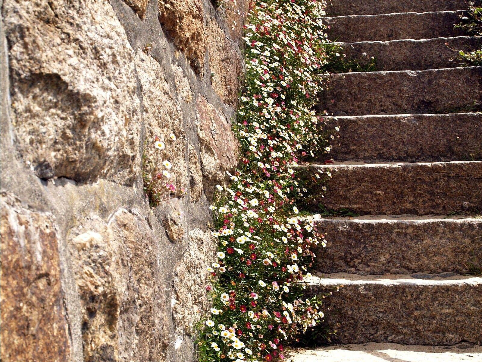 Steps Wallpapers - Top Free Steps Backgrounds - WallpaperAccess