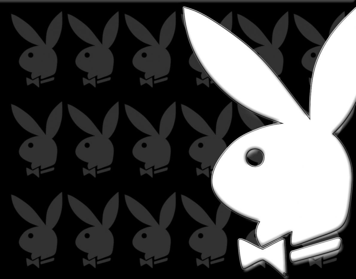 1190x931 Playboy Bunny Logo Wallpaper