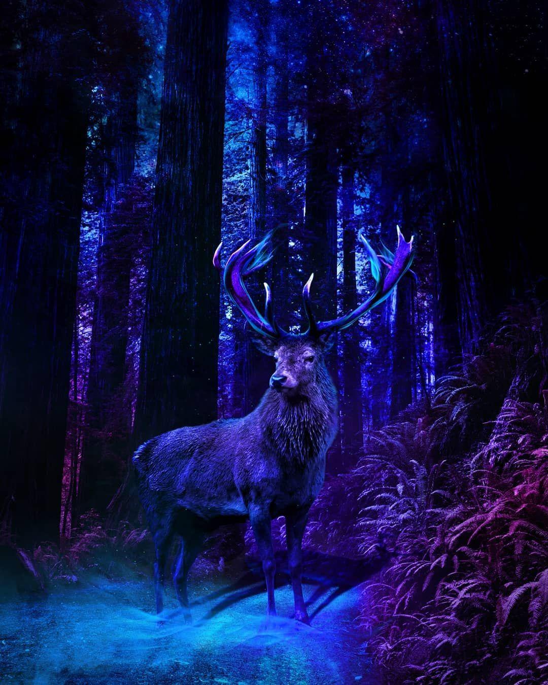 1080x1350 Cool Deer Wallpaper