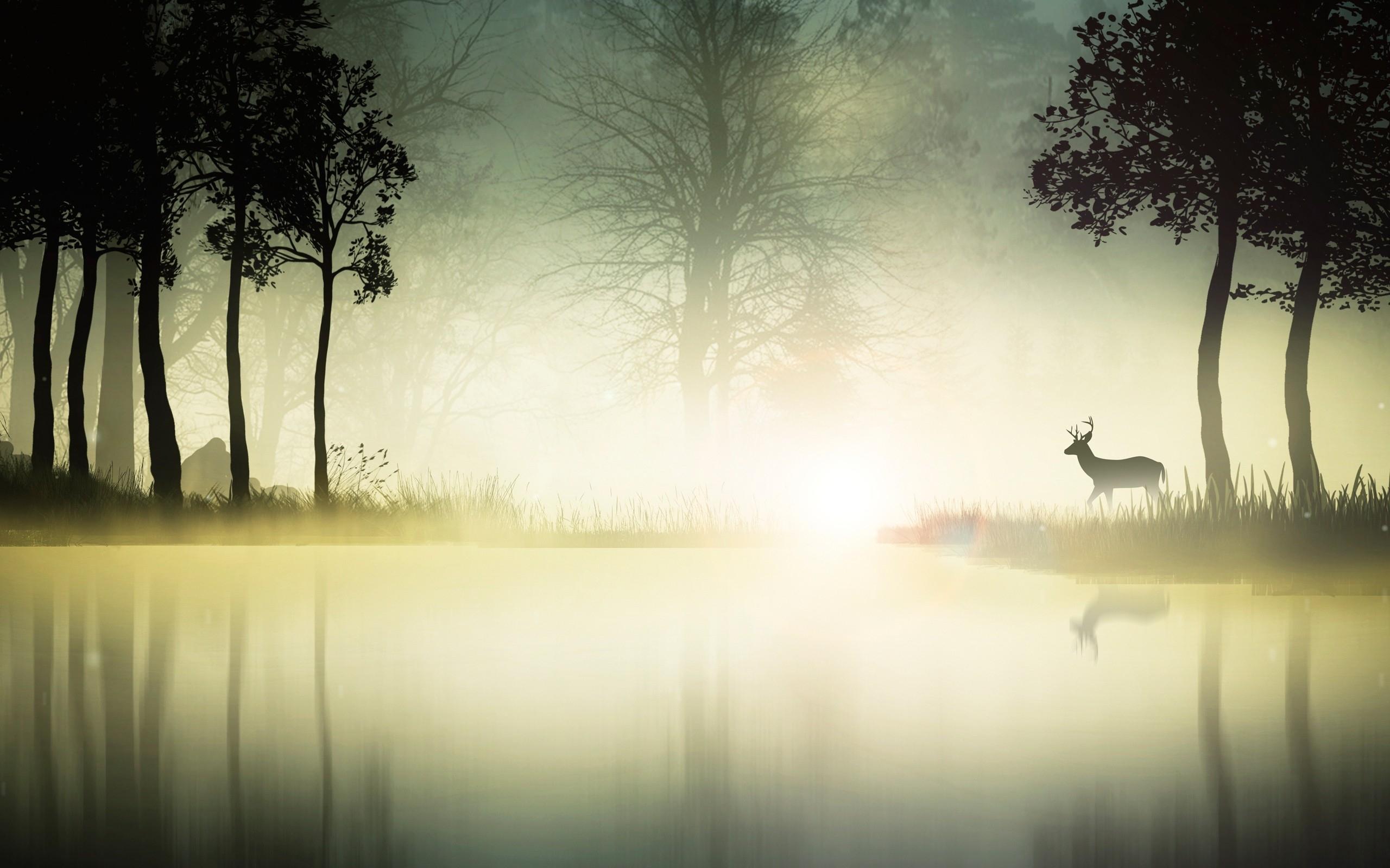 2560x1600 Dark Trees Mist Deer & Sea wallpaper. Dark Trees Mist Deer & Sea