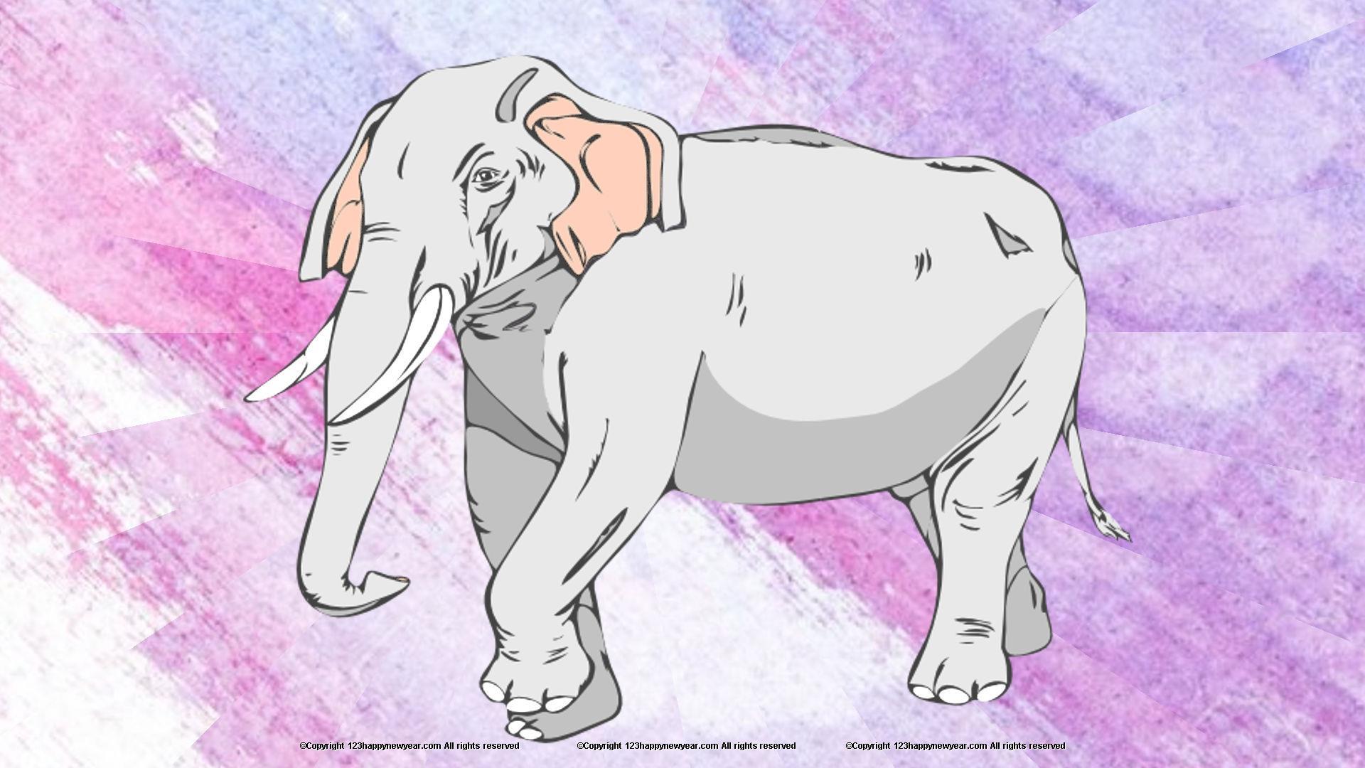 1920x1080 White elephant HD wallpaper