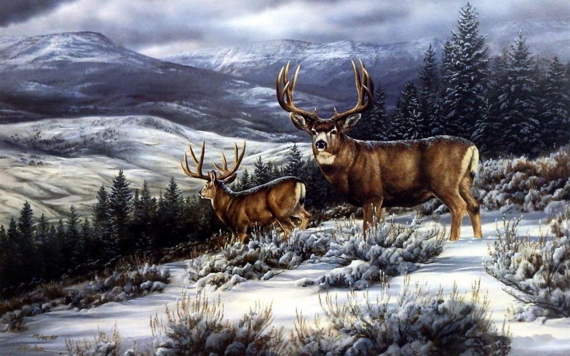1920x1200 Dark Forest Deer Snowy Hill wallpaper. Dark Forest Deer Snowy Hill