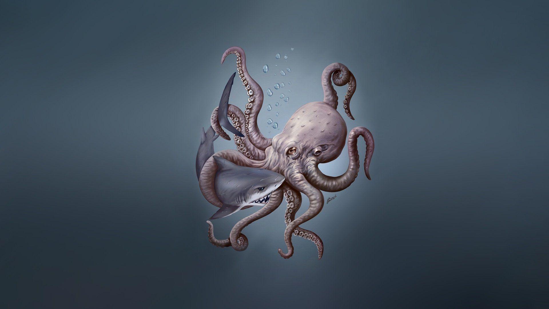 1920x1080 Octopus Wallpaper, HD Octopus Background