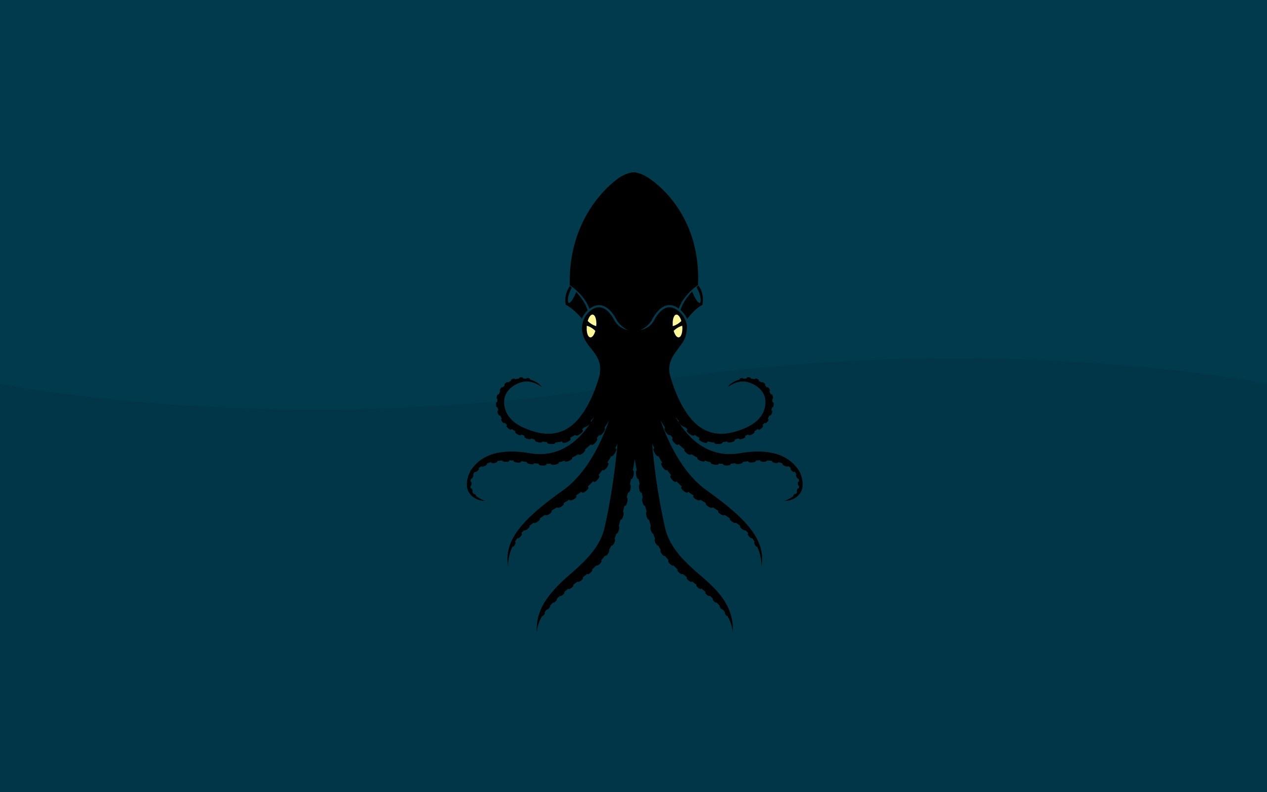 2560x1600 Octopus Wallpaper