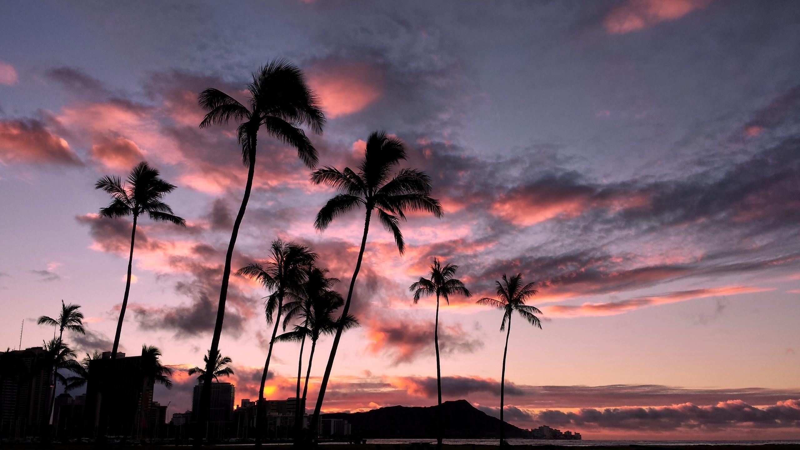 2560x1440 Good Morning Hawaii! [2560x1440] • R Wallpaper. Beautiful Landscape Wallpaper, Wallpaper Landscape, Pink Wallpaper Laptop