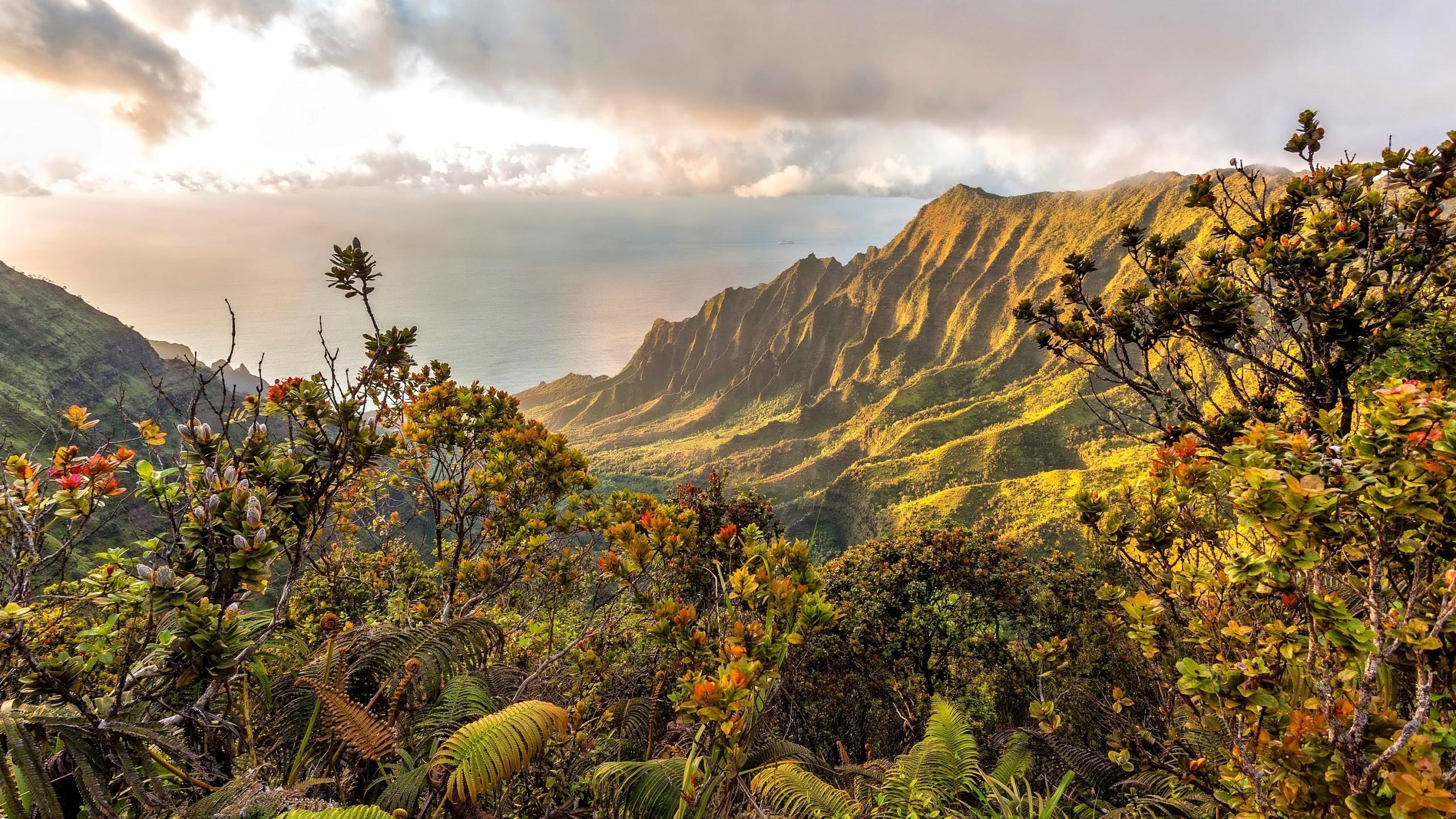 2560x1440 Download 2560x1440 Hawaii, Mountain, Ocean, Clouds, Plants Wallpaper for iMac 27 inch