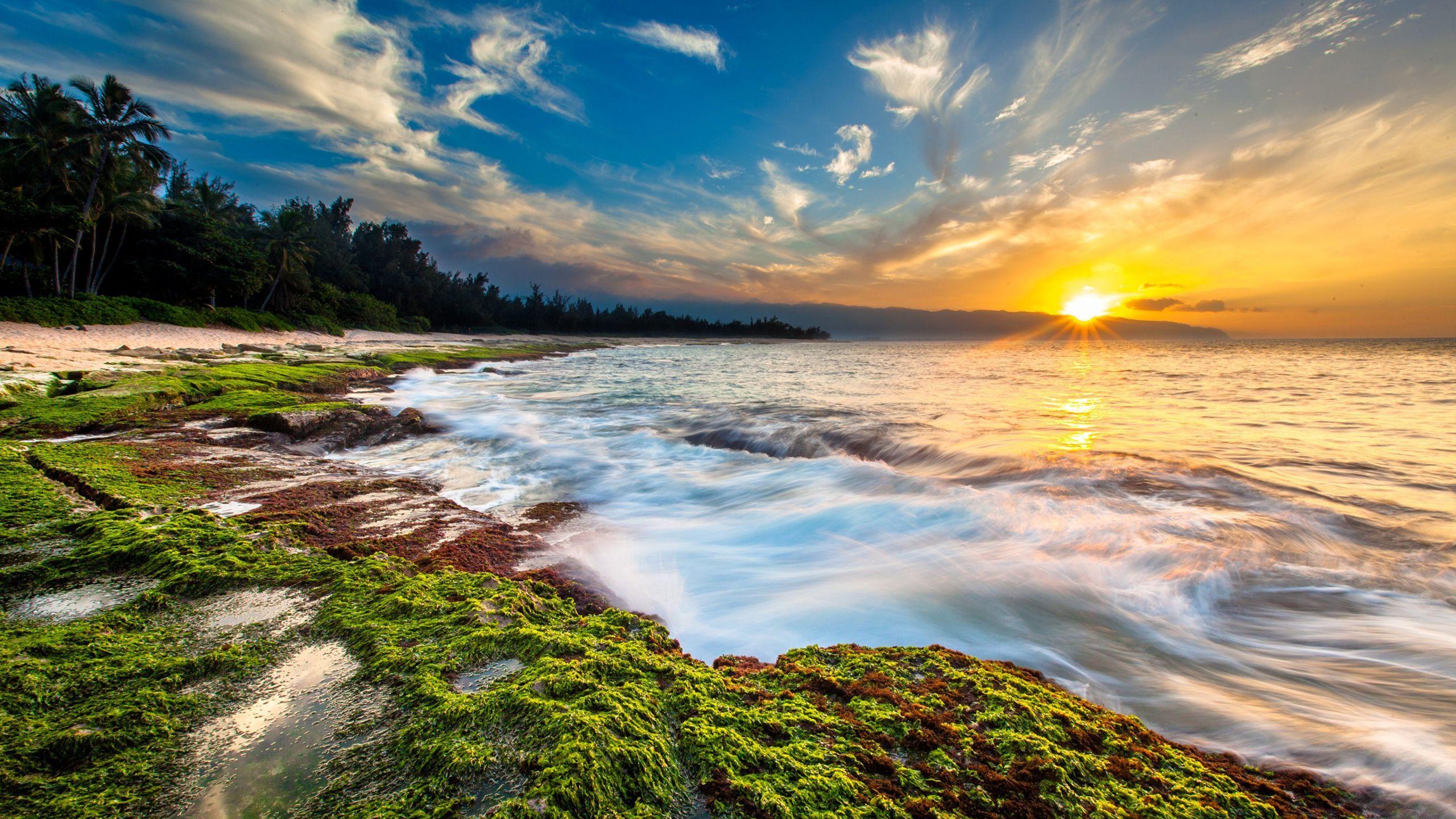 2560x1440 Hawaii Sunset Ocean Beach Waves Cl wallpaper in 2560x1440 resolution