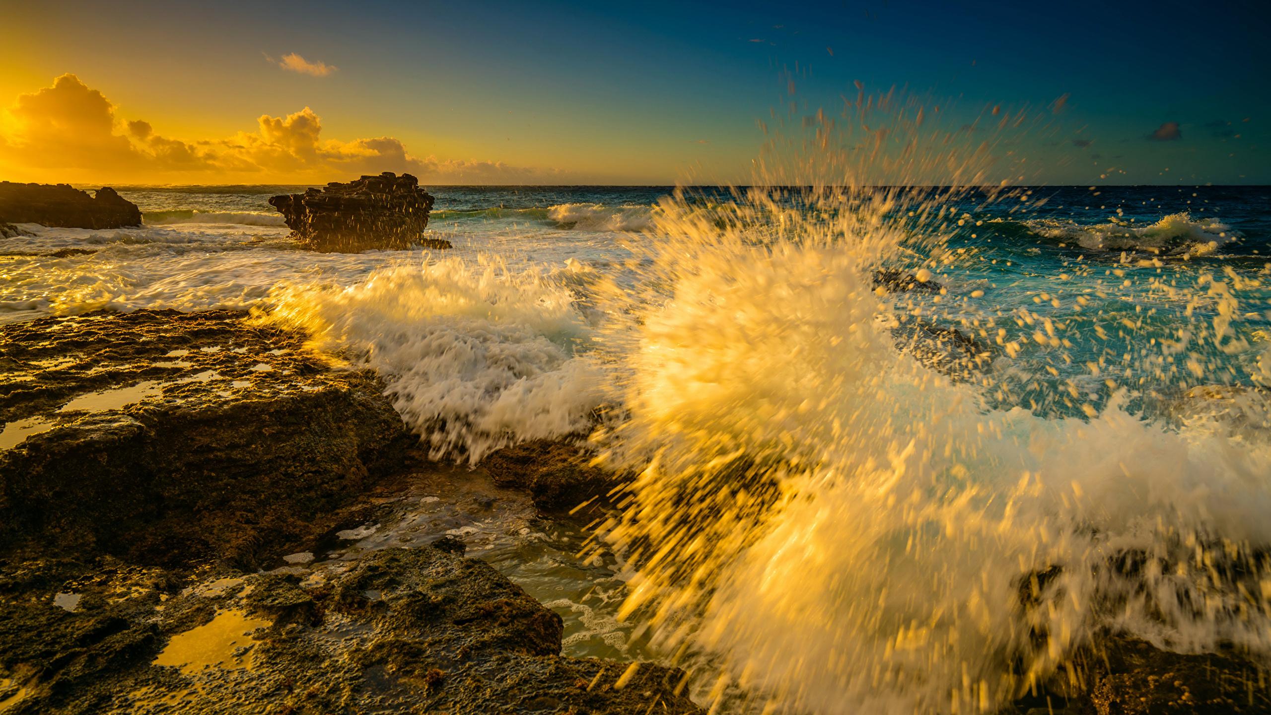 2560x1440 Wallpaper Hawaii USA Oahu Ocean Nature Waves Water splash 2560x1440