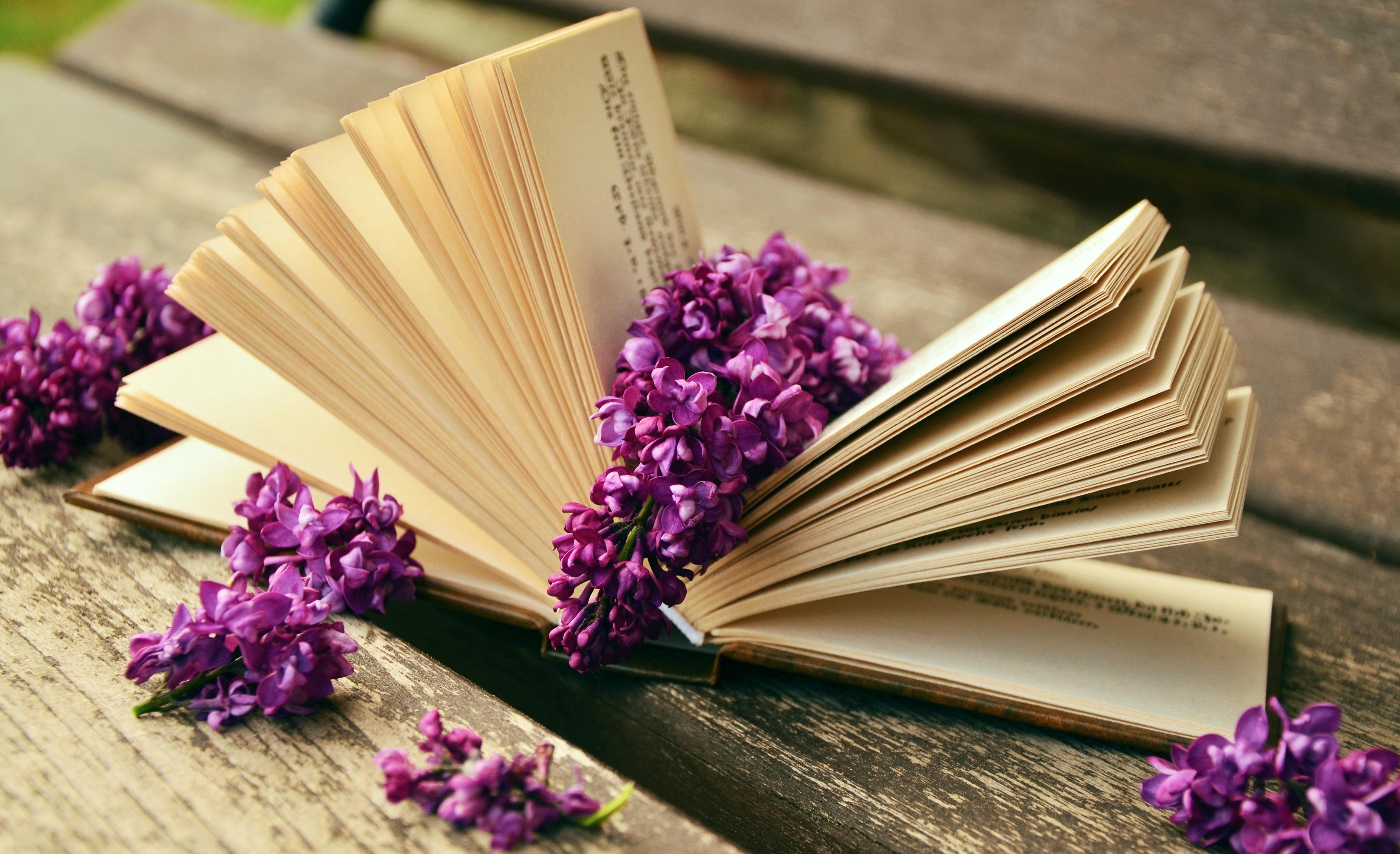 4699x2865 Lilac flowers lie on a book on a bench wallpaper and image, picture, photo