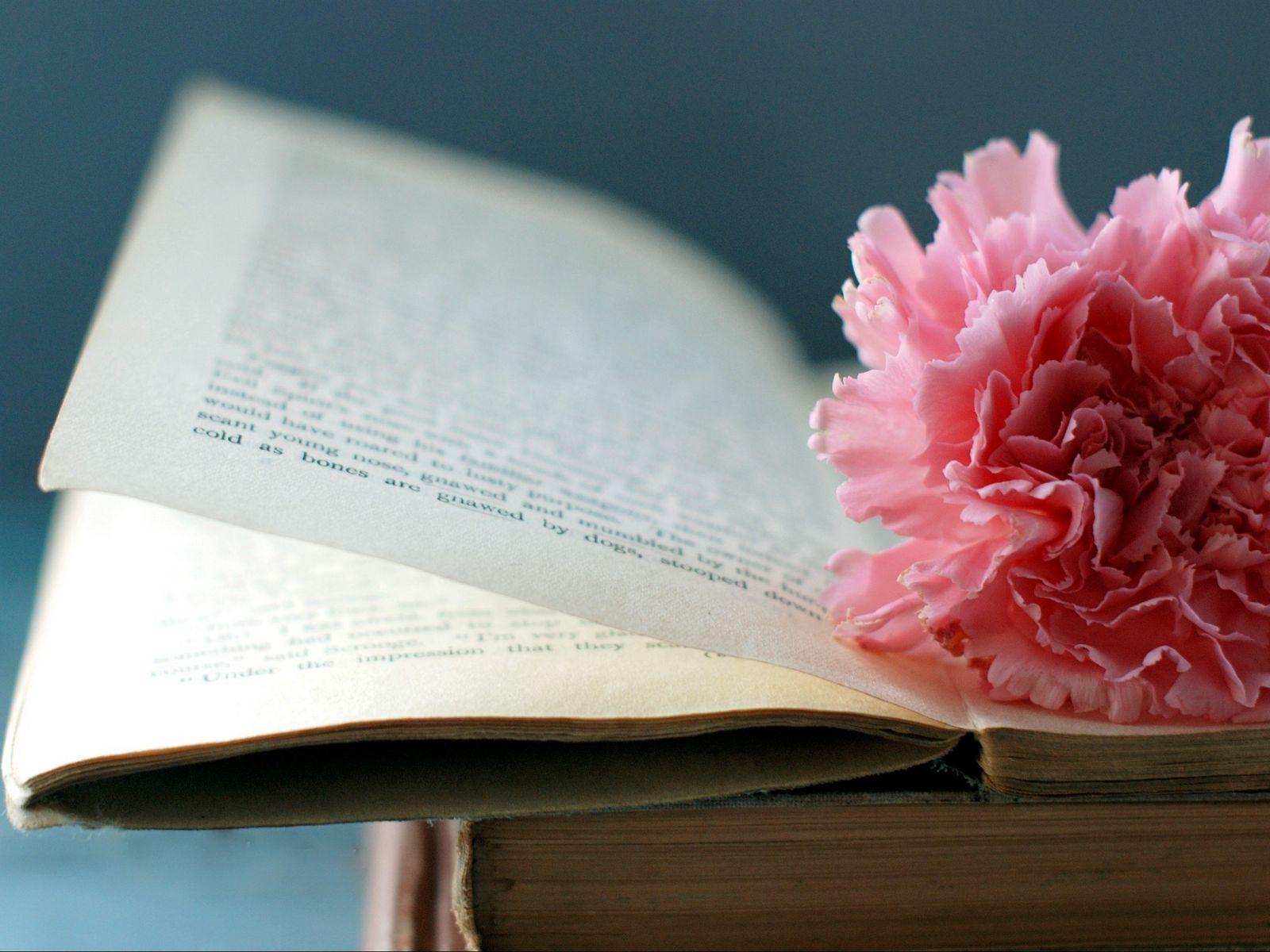 1600x1200 Download wallpaper 1600x1200 book, flower, bookmark, page standard 4:3 HD background