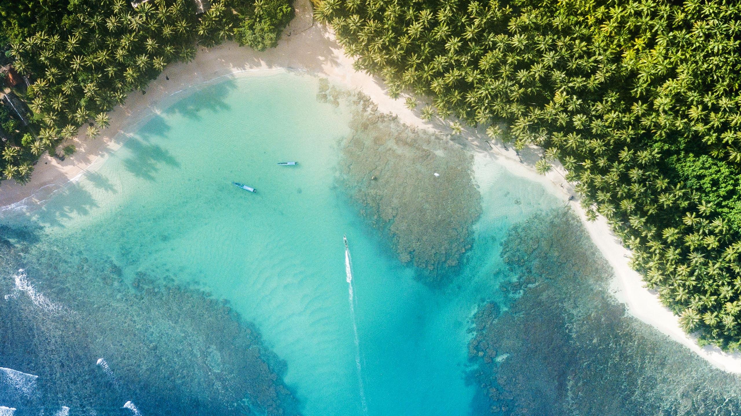 2560x1440 Palms, Beach and Sea From Above Wallpaper