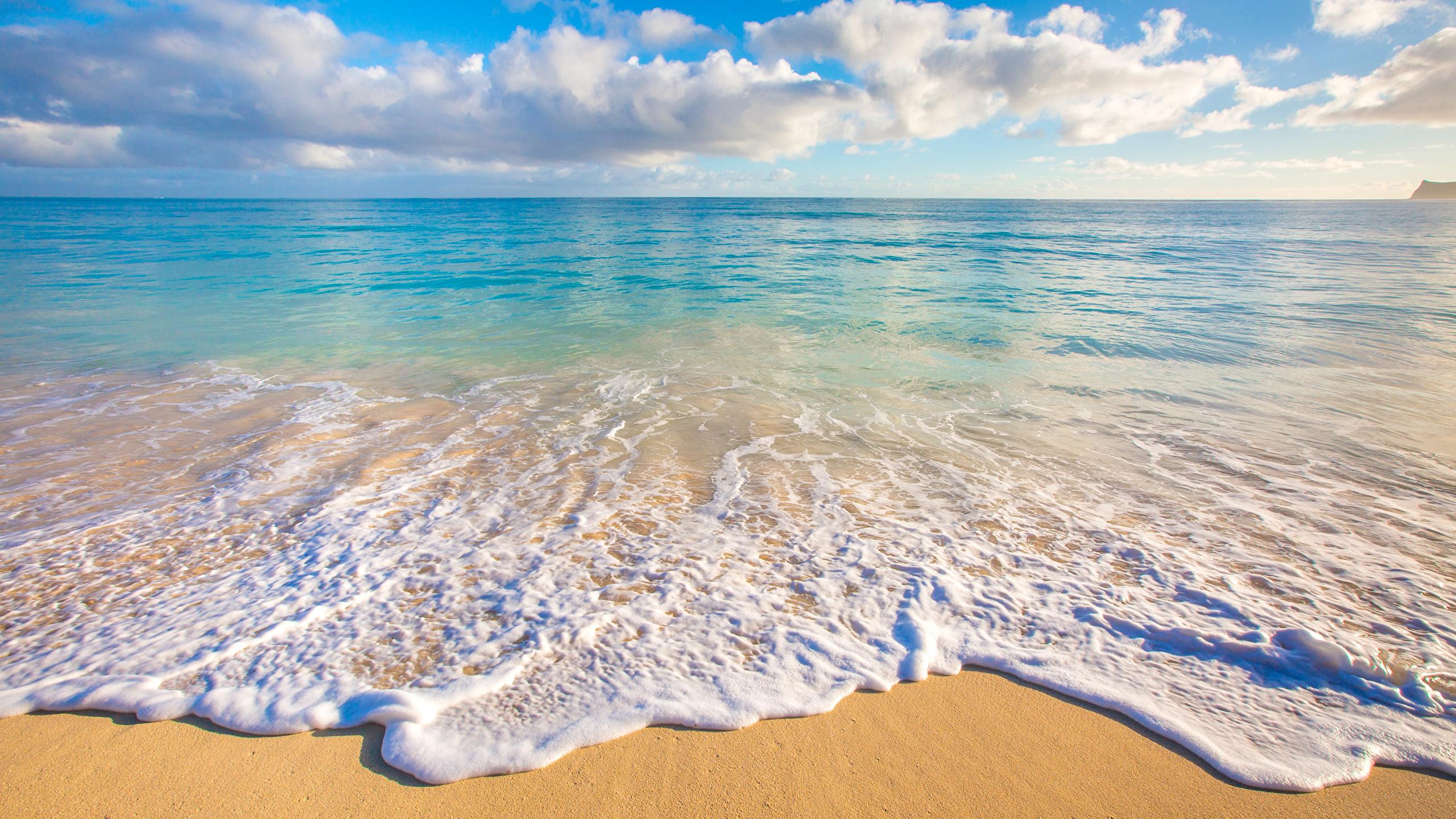 2560x1440 Photo Hawaii Ocean Nature Sand Waves Tropics Scenery Coast 2560x1440