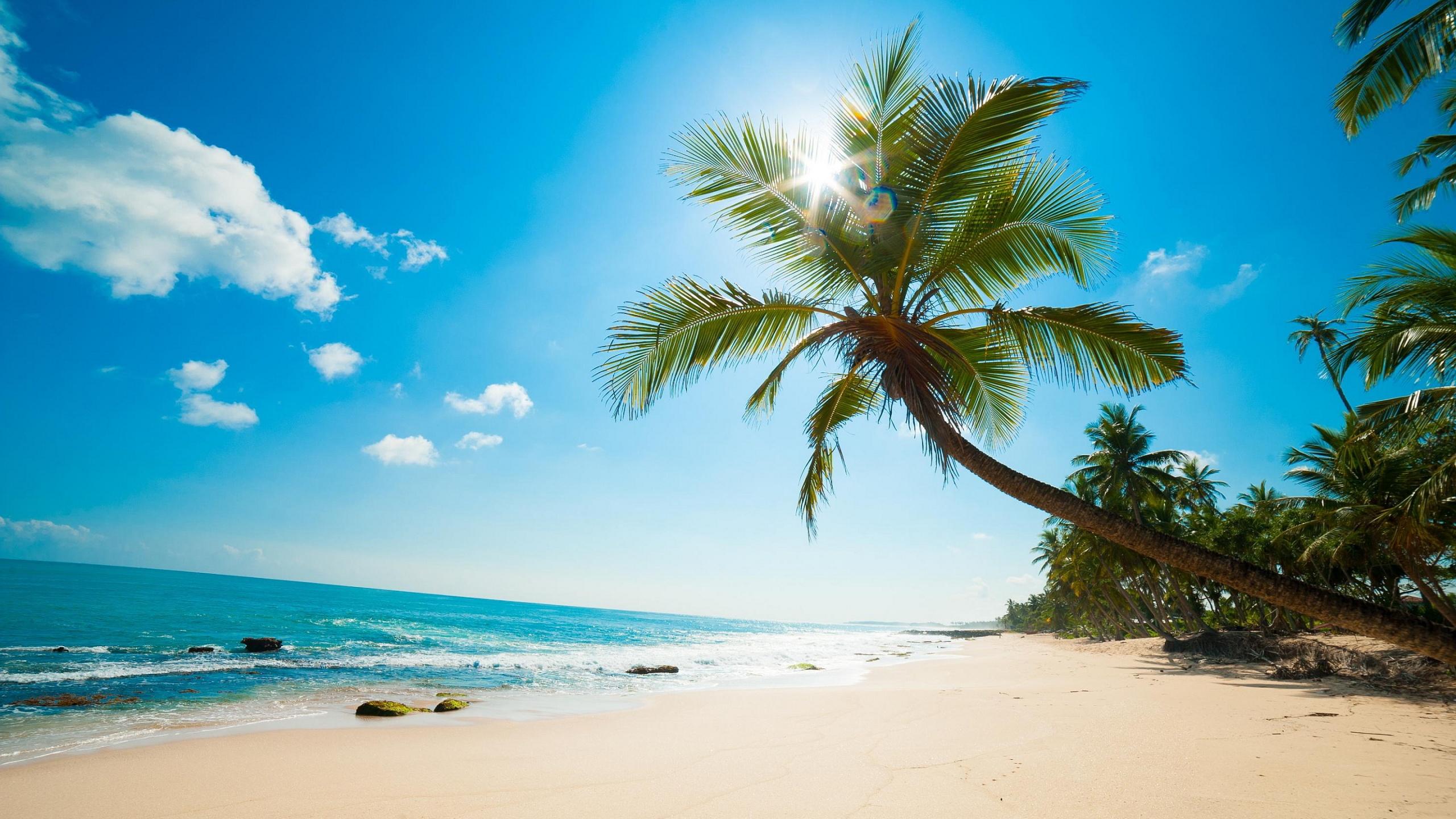 2560x1440 Beach Picture Wallpaper HD Wallpaper
