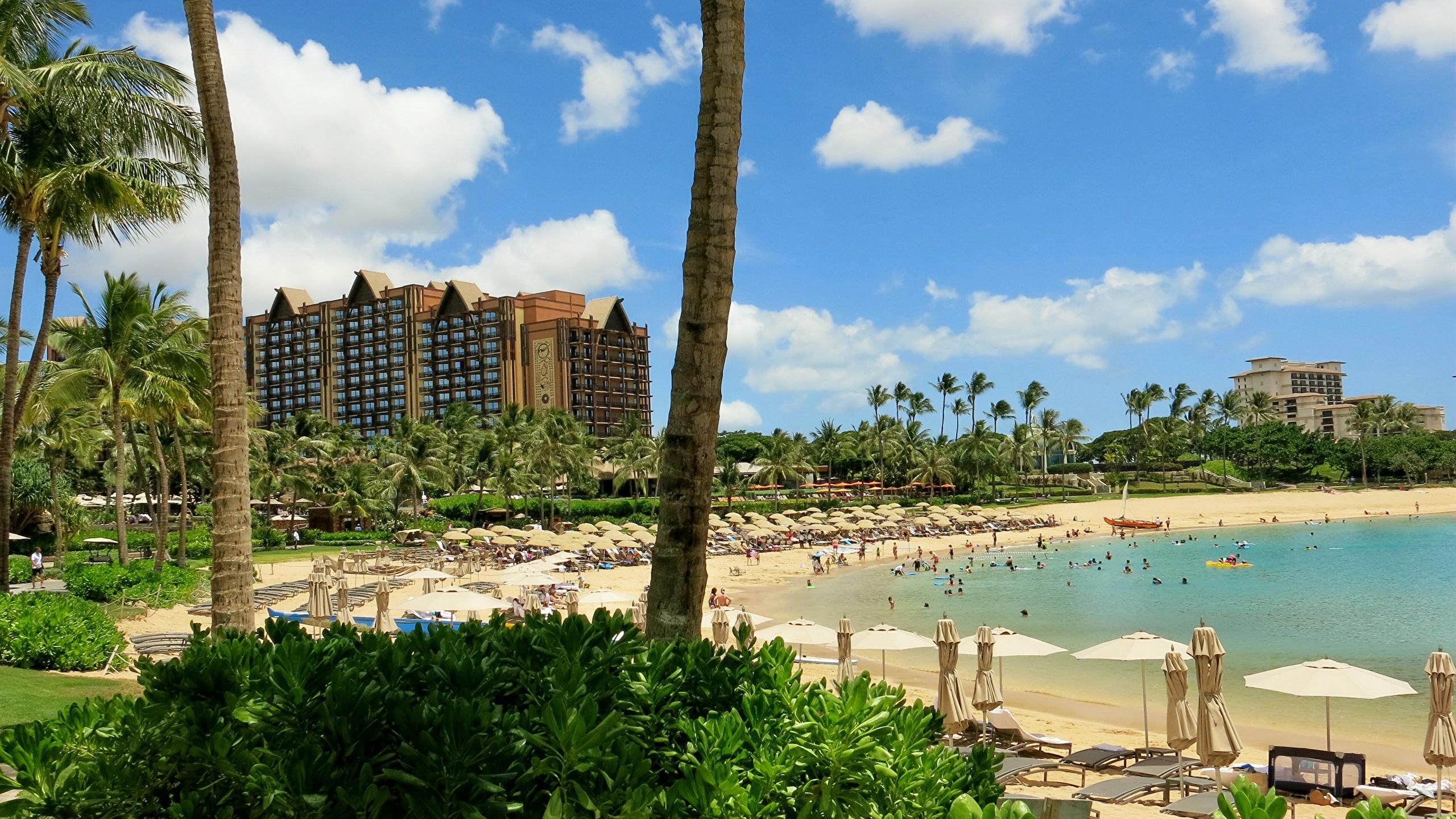2560x1440 Honolulu Hawaii