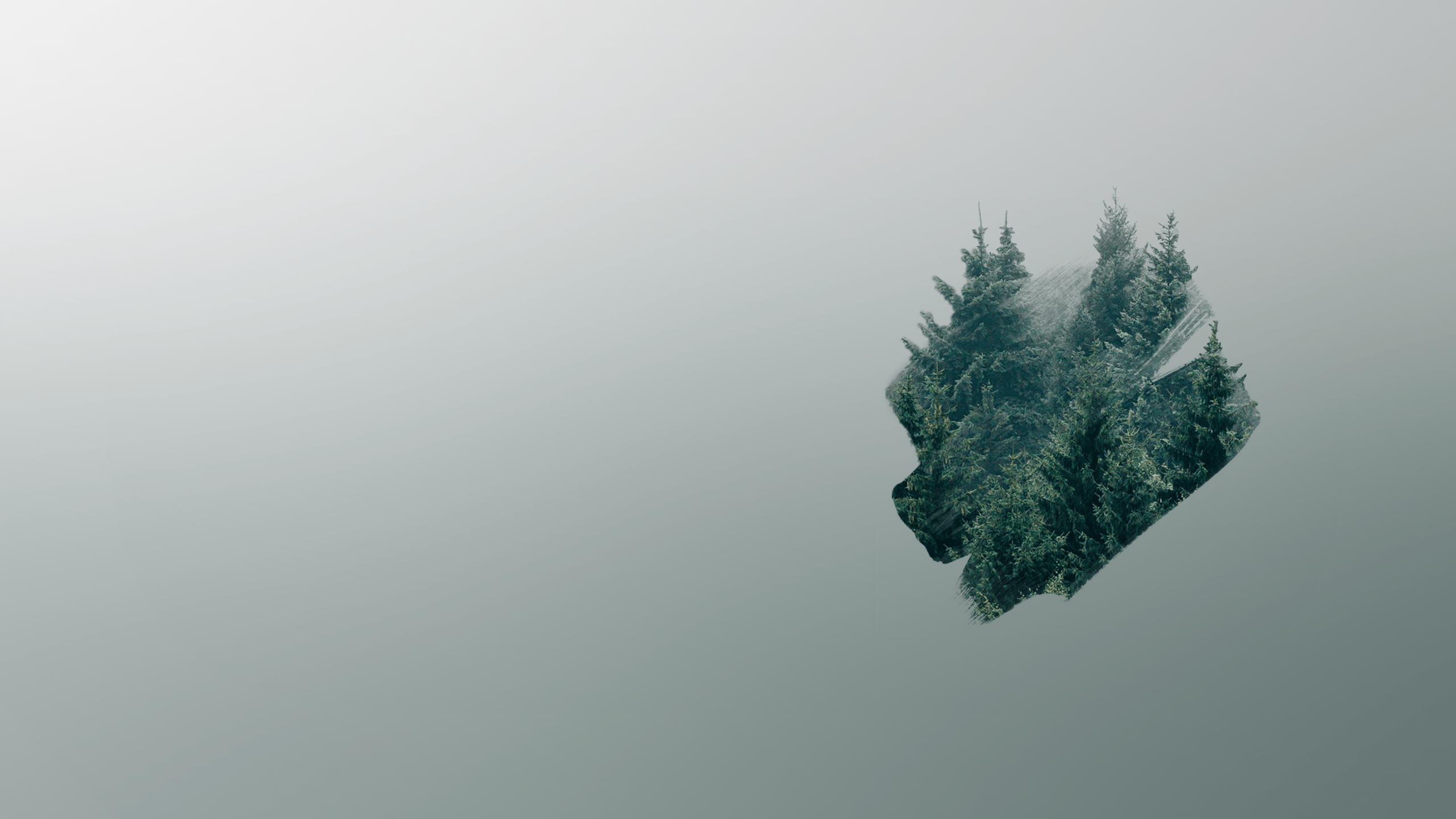 2560x1440 Minimalist Plant Wallpaper