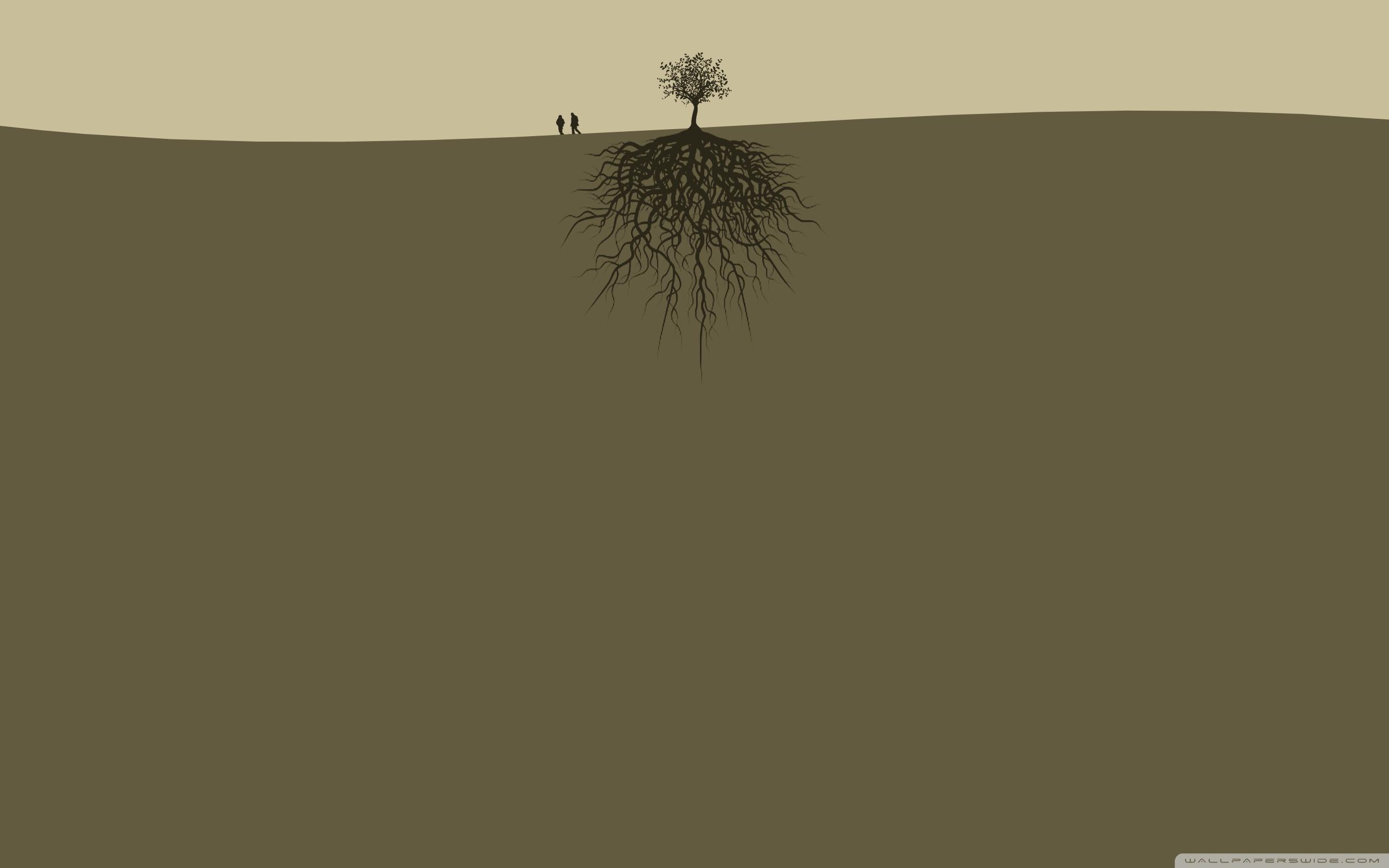 2560x1600 Tree Roots Ultra HD Desktop Background Wallpaper for 4K UHD TV : Multi Display, Dual Monitor : Tablet