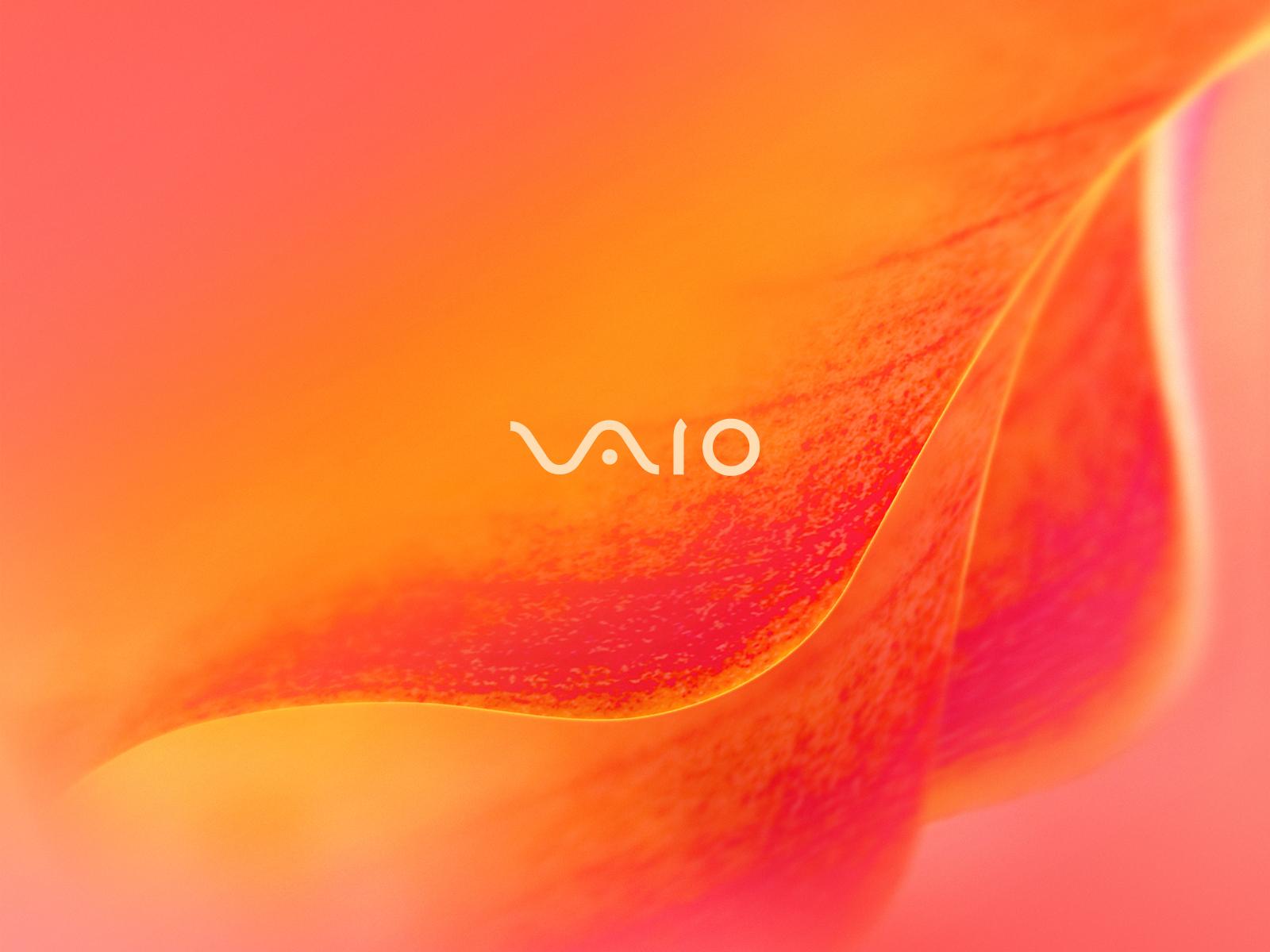 1600x1200 Sony Vaio Wallpaper