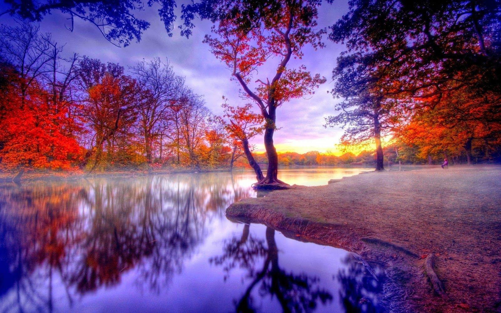 1600x1000 Full HD Romantic Nature Background