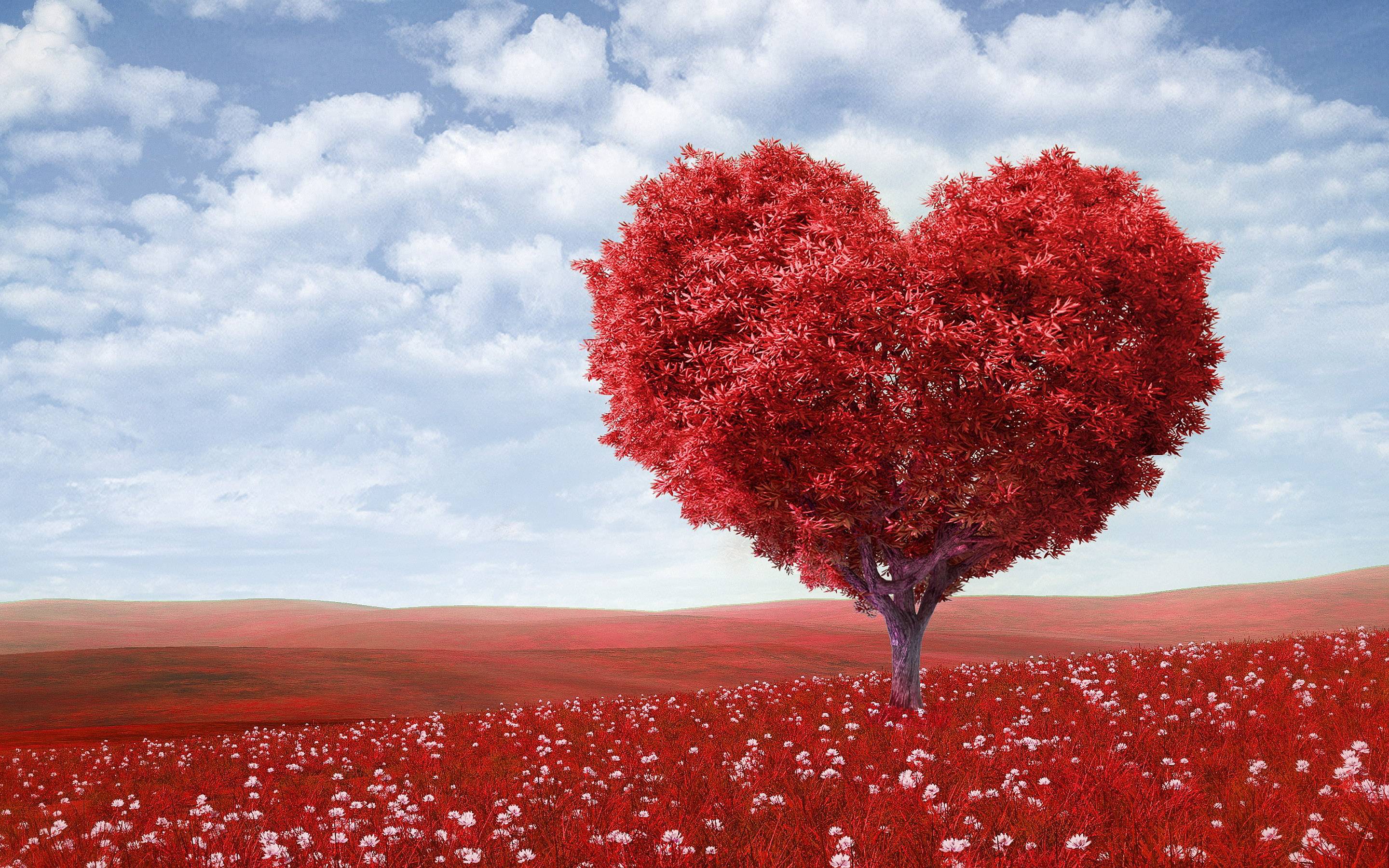 2880x1800 Love Garden Wallpaper, HD Love Garden Background