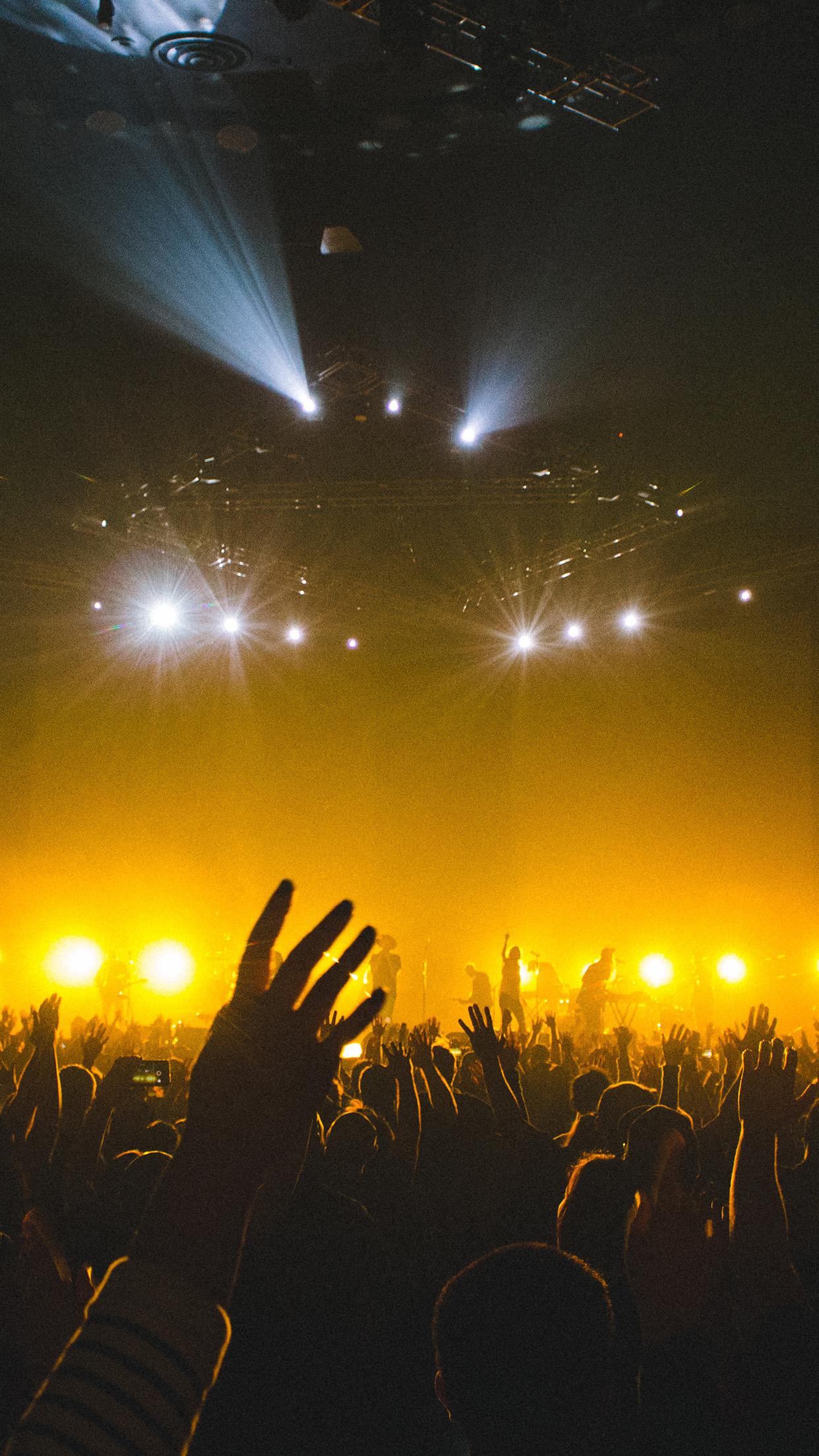 1242x2208 Concert Music Artist Rock Night Nature City Wallpaper
