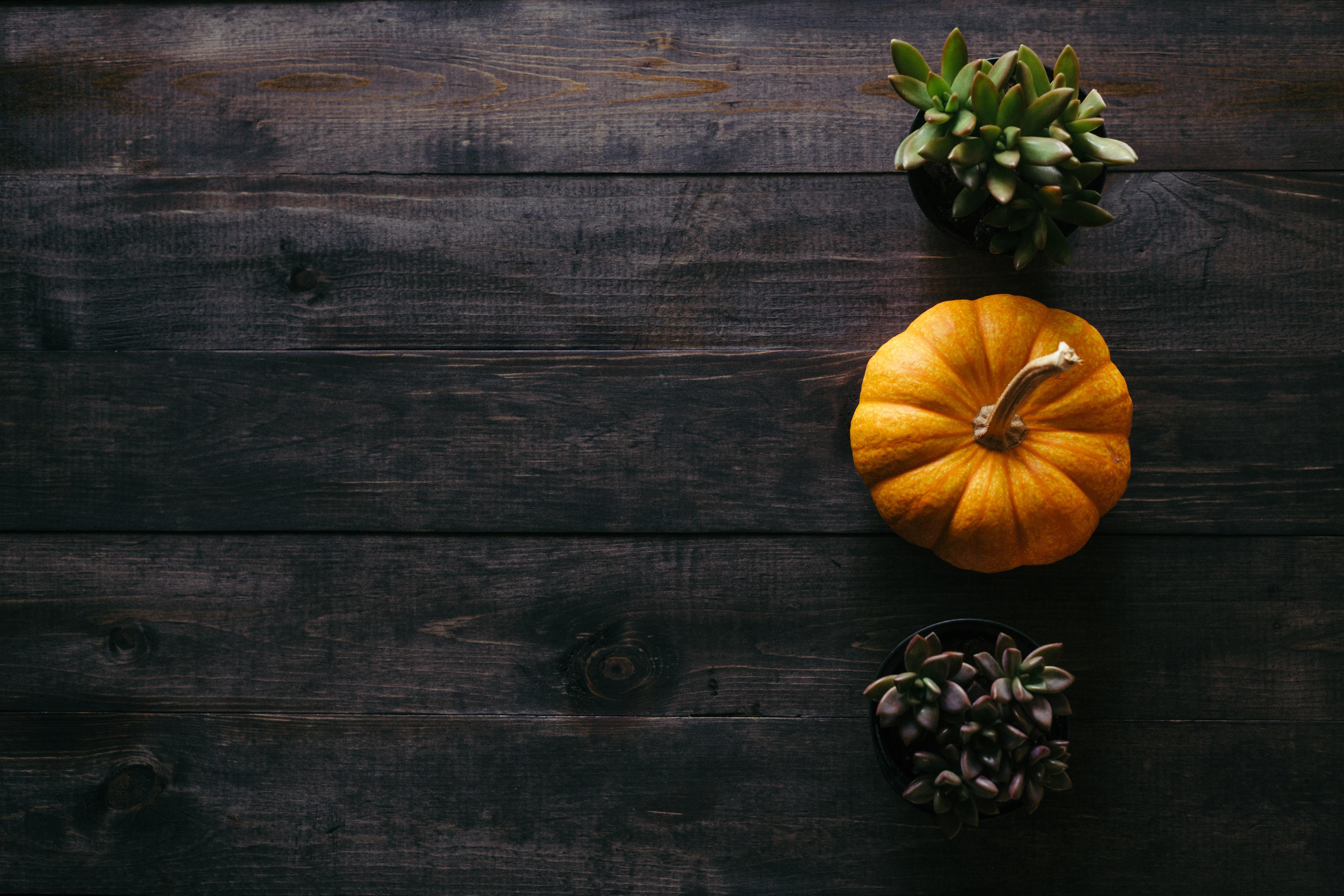 5269x3513 5269x3513 #dark wood, #halloween, #pumpkin, #october, #vegetable, #harvest, #table, #seasonal, #healthy, #wood, #organic, #Free image, #room to type, #decor, #flat lay, #thanksgiving, #fall, #orange, #plant, #interior design, #autumn. Mocah
