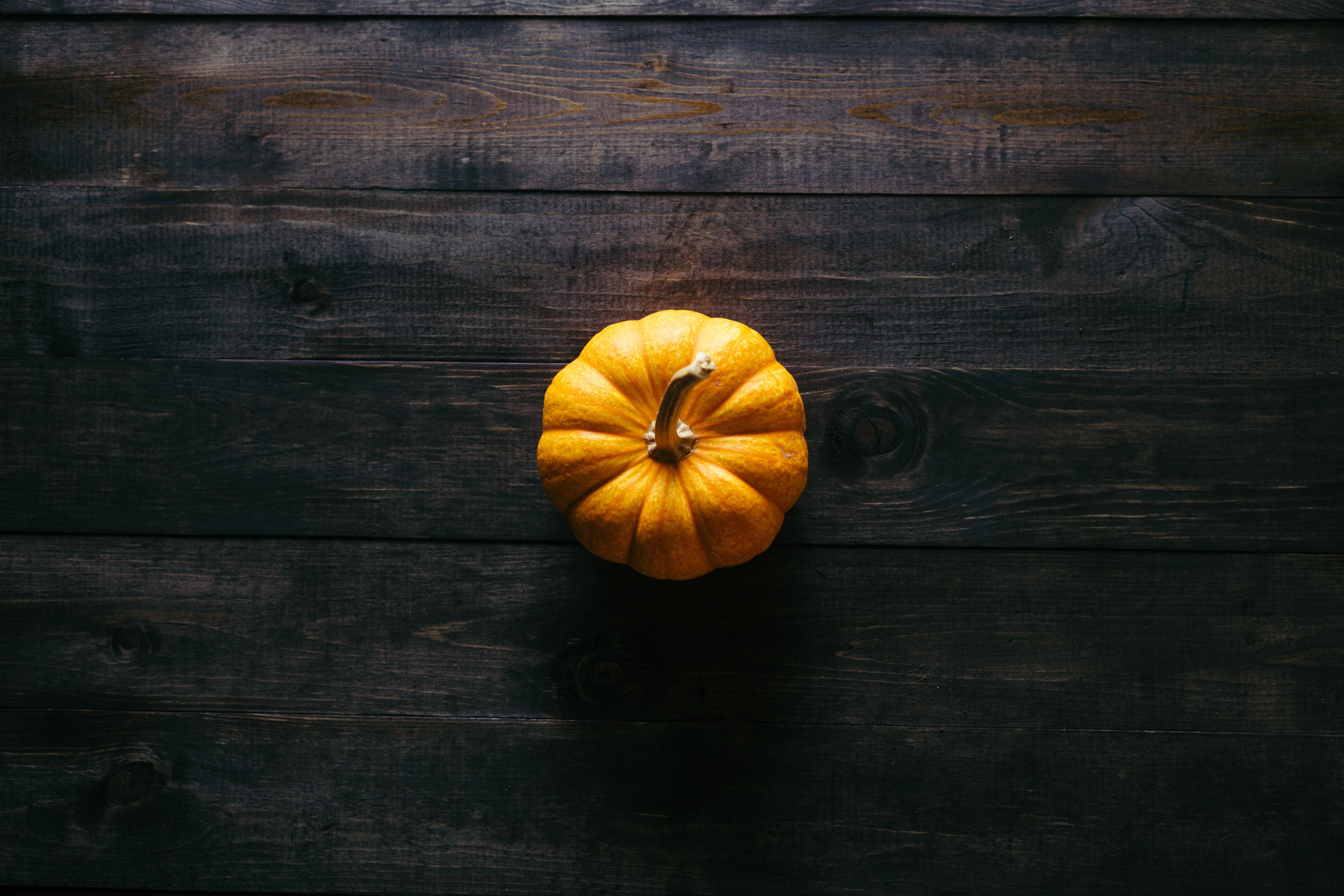 5410x3607 5871x3914 #halloween, #fall background, #Free image, #background, #wallpaper, #seasonal, #food, #pumpkin, #gourd, #thanksgiving, #black, #fall wallpaper. Mocah HD Wallpaper