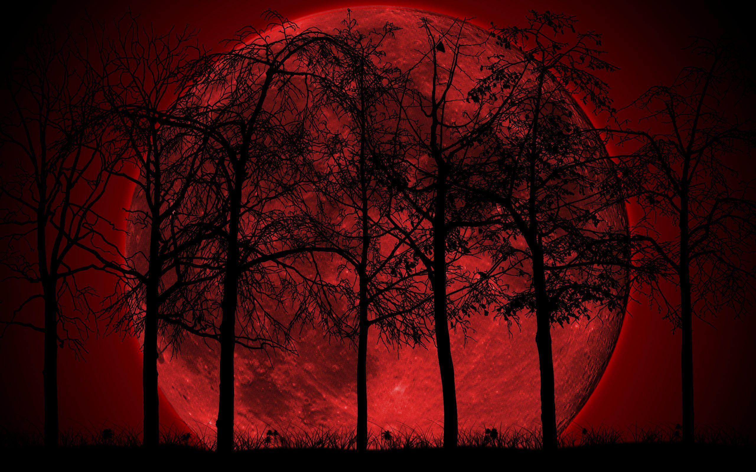 2560x1600 Dark Red Moon Wallpaper