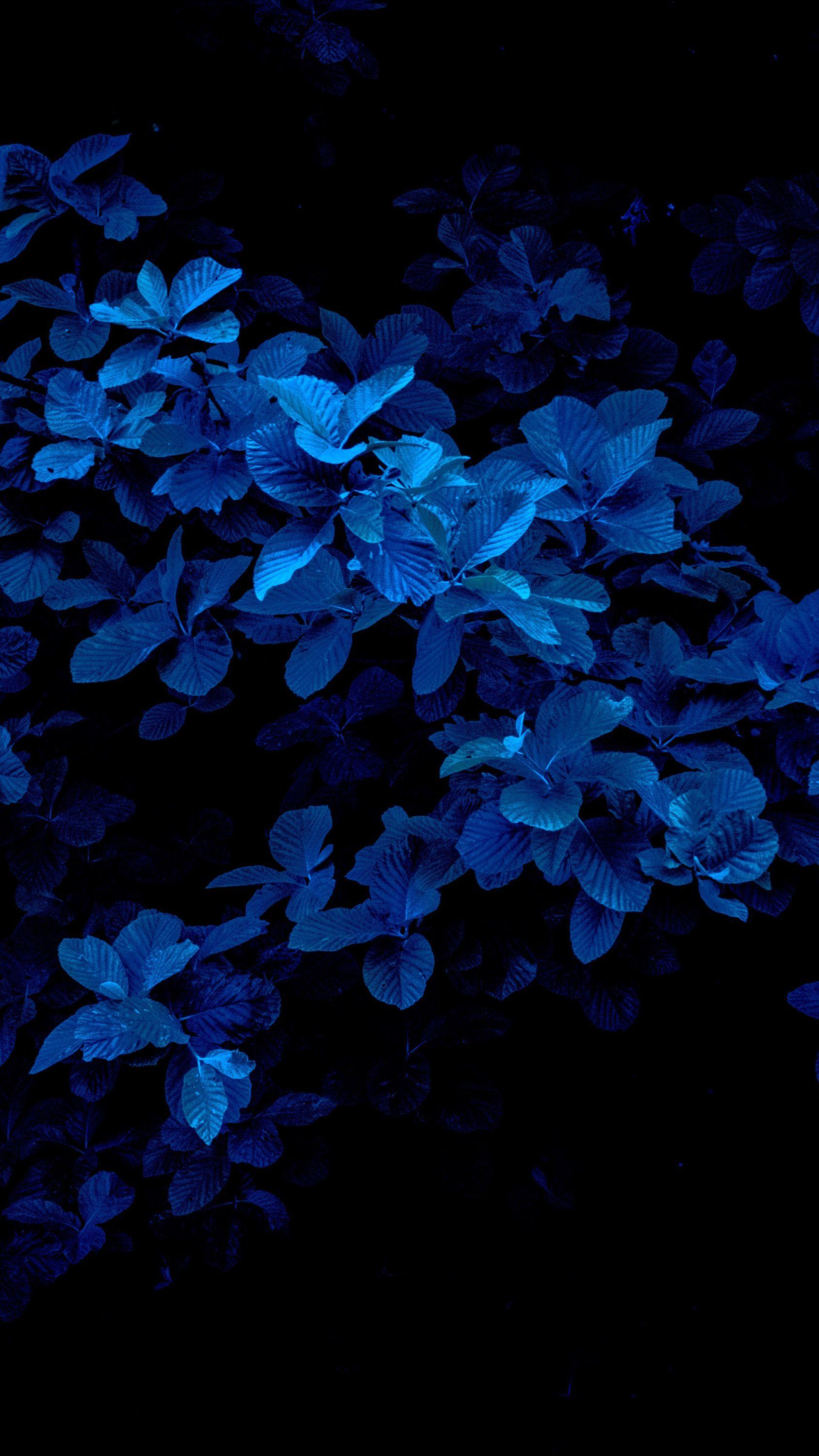 1688x3000 Beautiful
