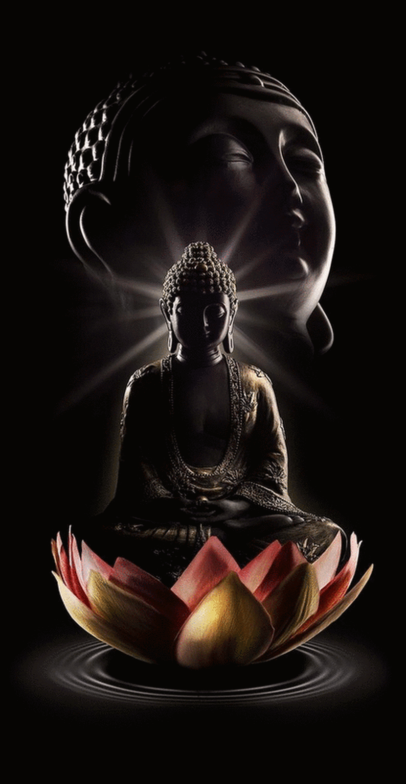830x1600 Buddha
