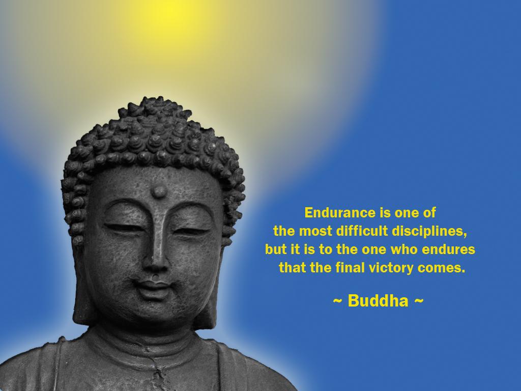 1024x768 View Buddha Famous Quote Wallpaper Pics